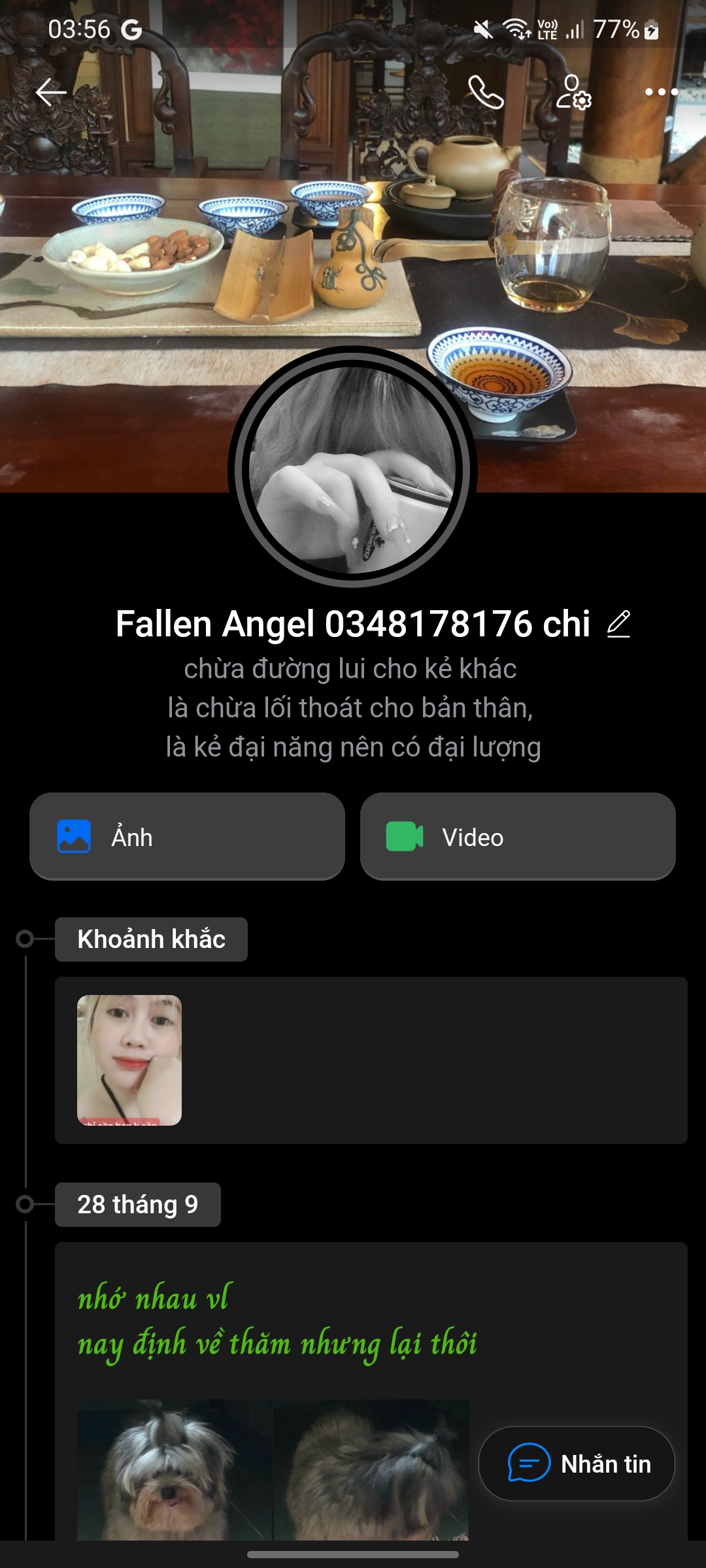 246868-0b8d33b99b69.jpg