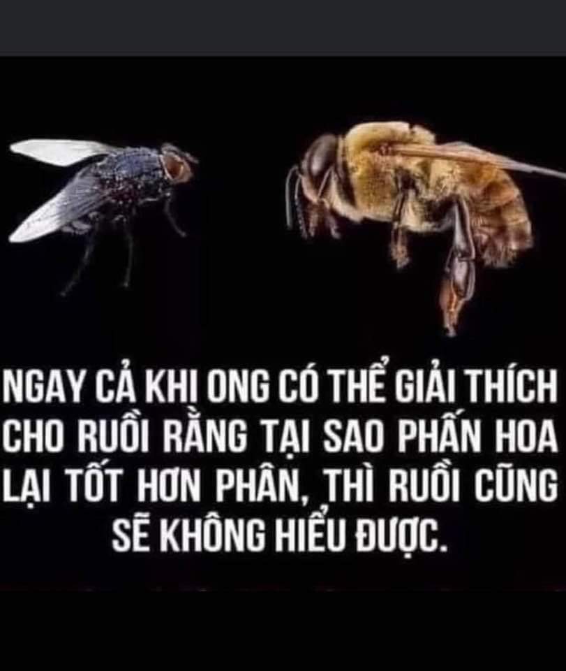 247709-e33e8a9508e0.jpg