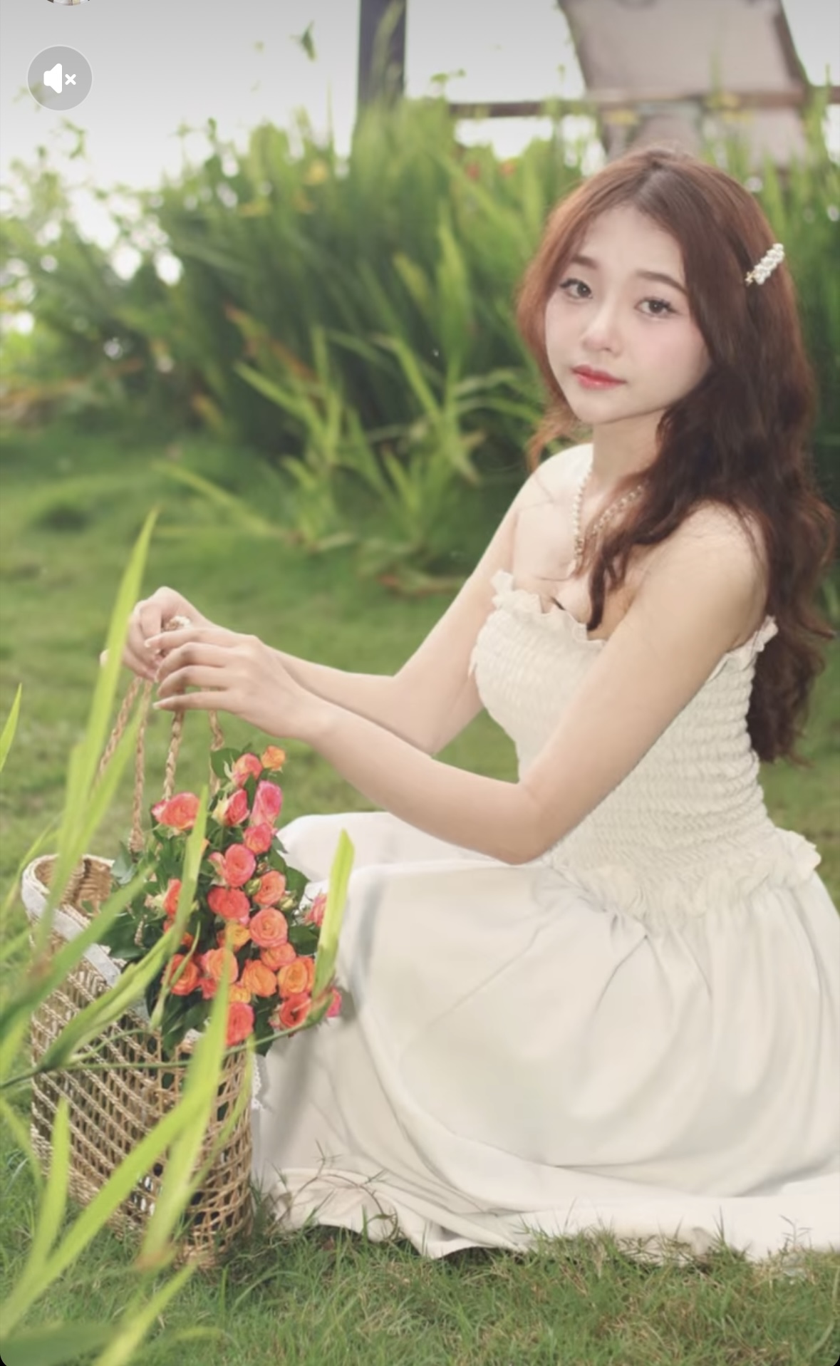 249801-87d91ecc7784.jpeg