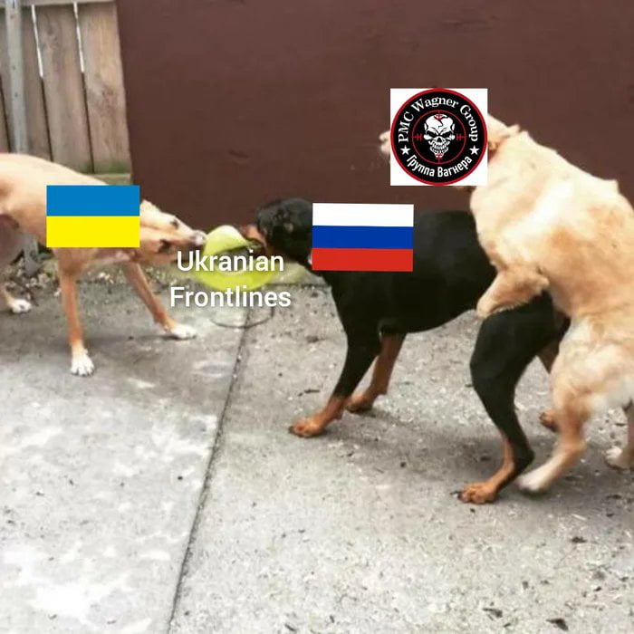 25382-df52b3d7d3b2.jpeg