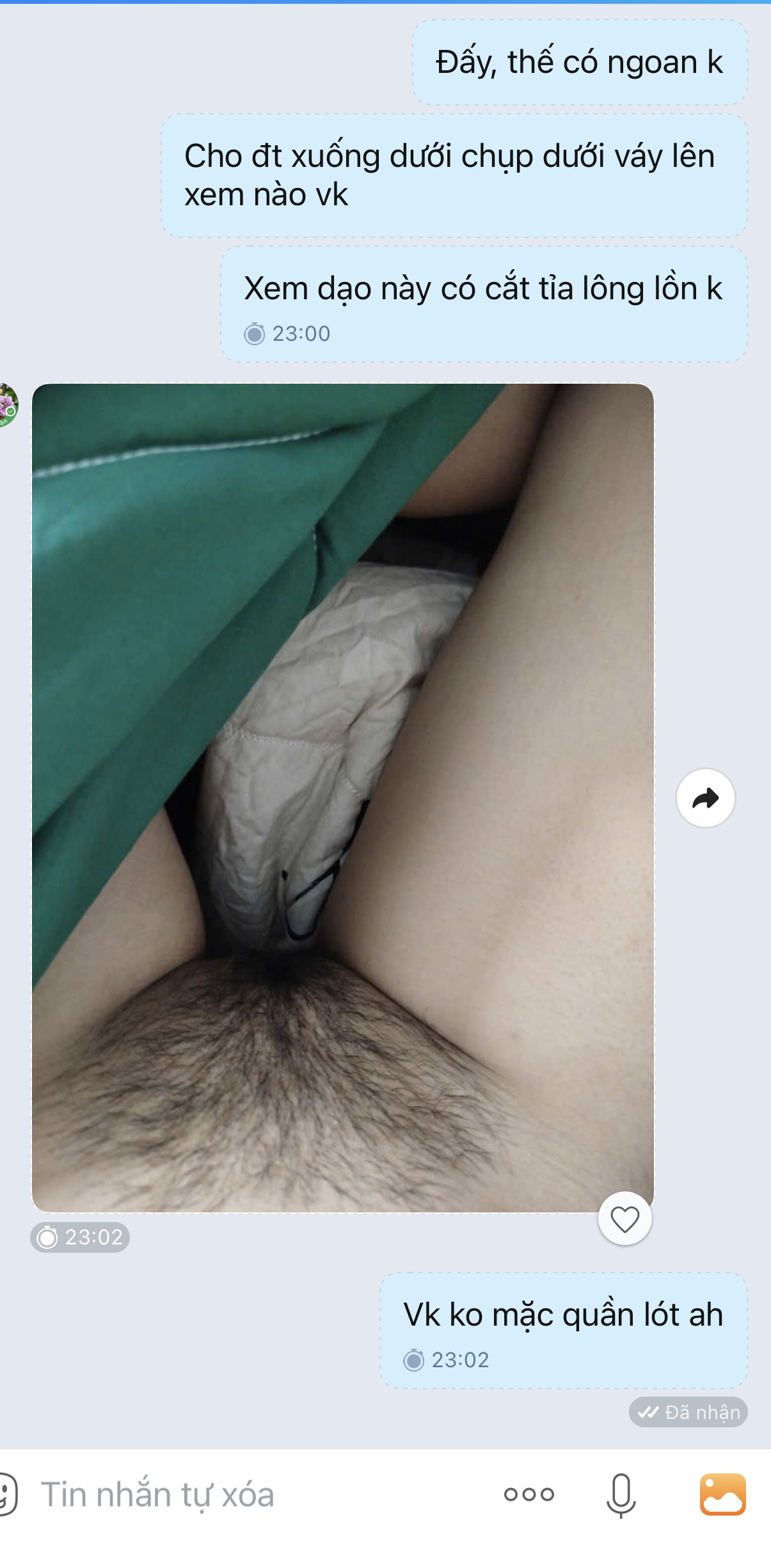250958-cf660612a65e.jpeg