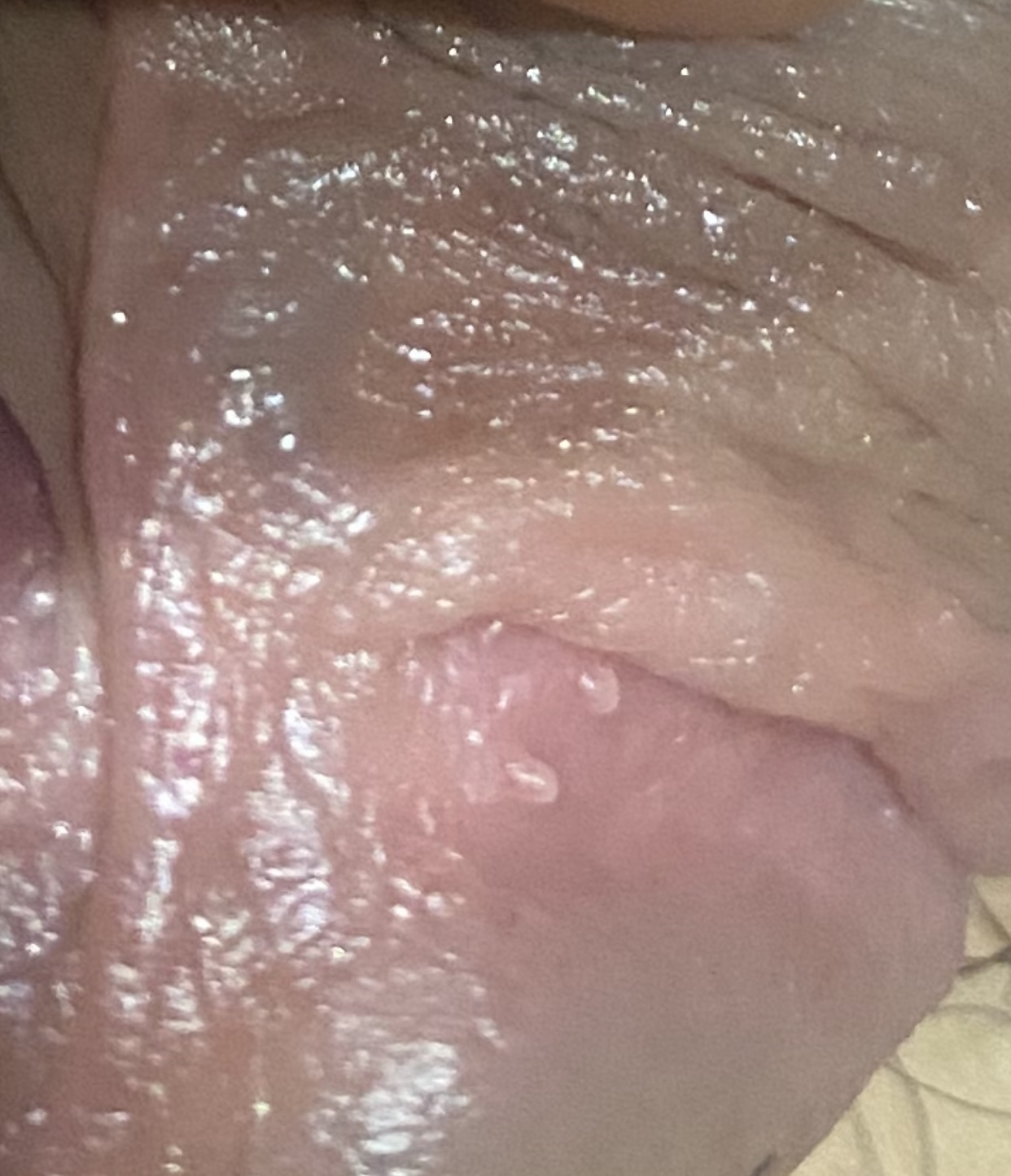 251688-eb14da2639c5.jpeg
