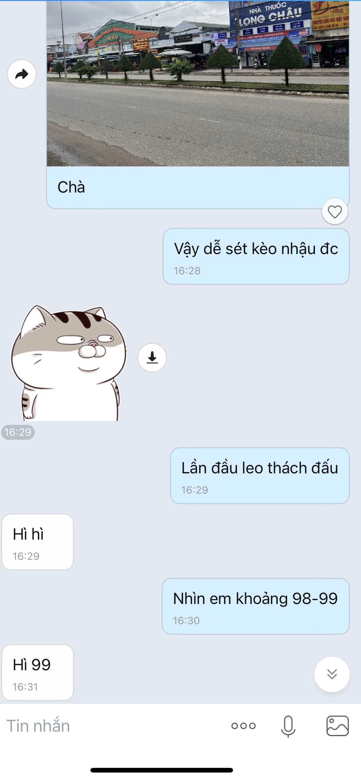 254351-d88810727de7.jpeg