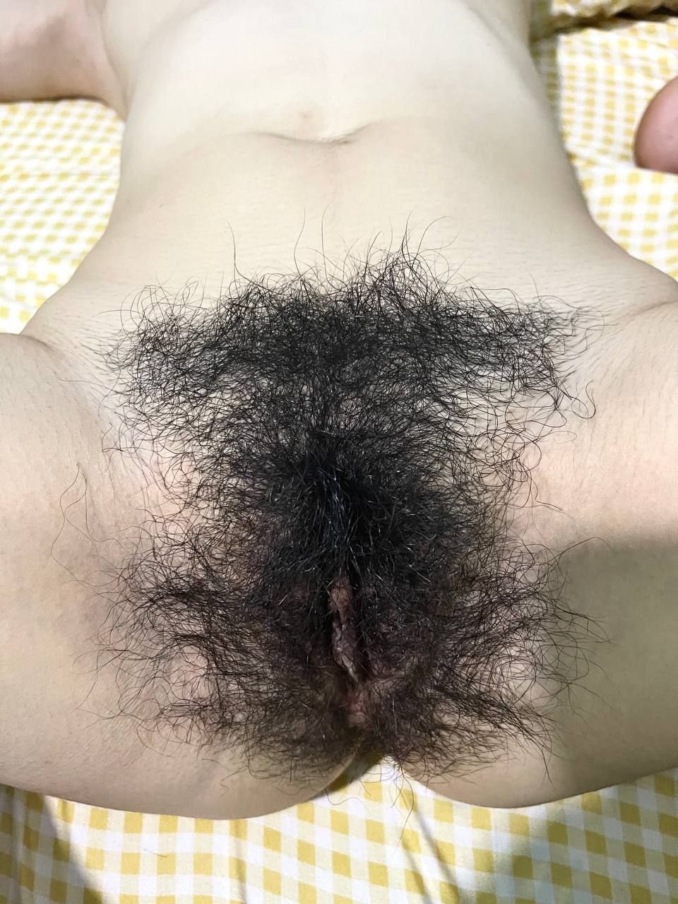 259678-7c09c6ea118b.jpg
