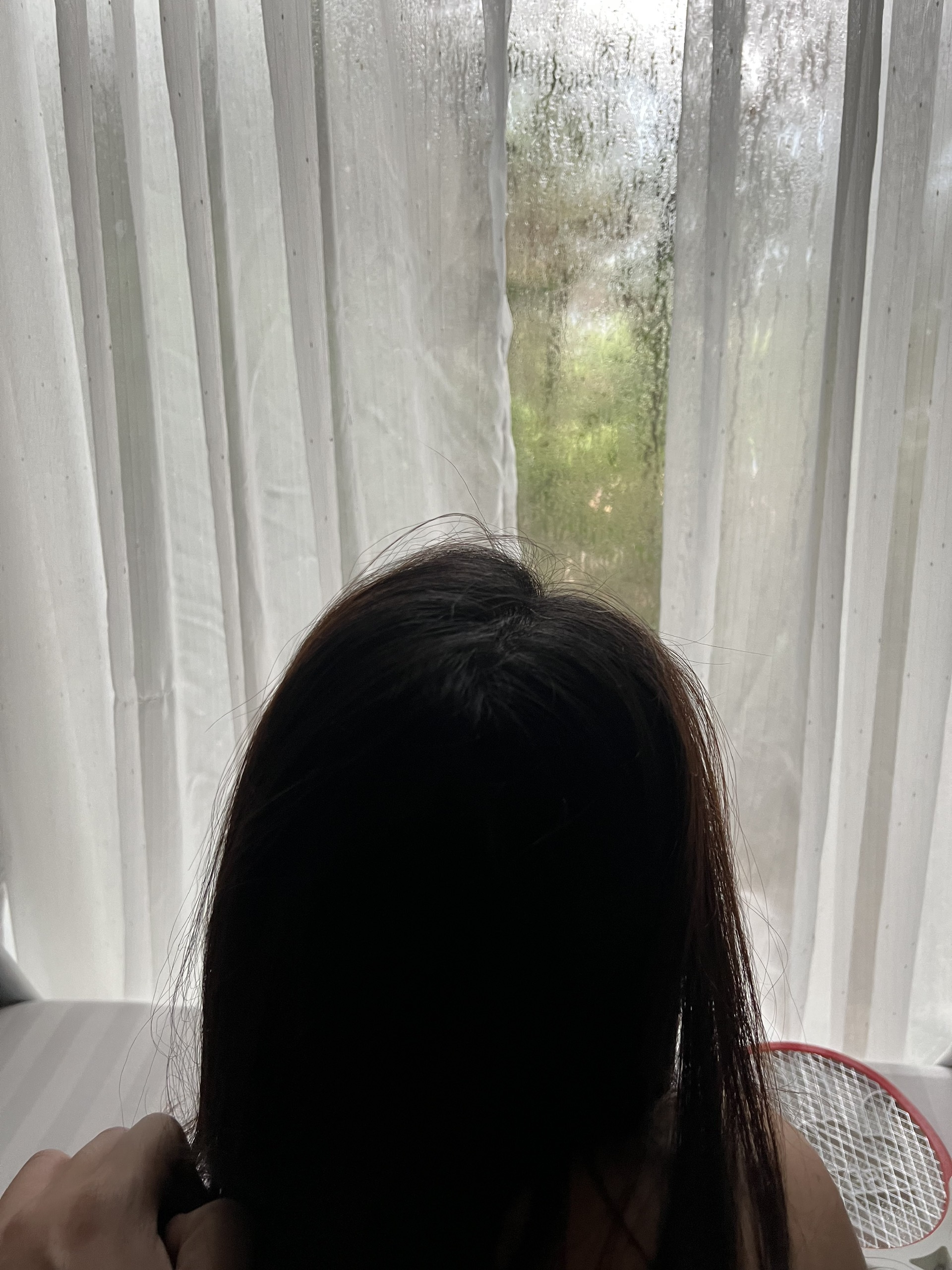 26254-bcc181dcb5be.jpg