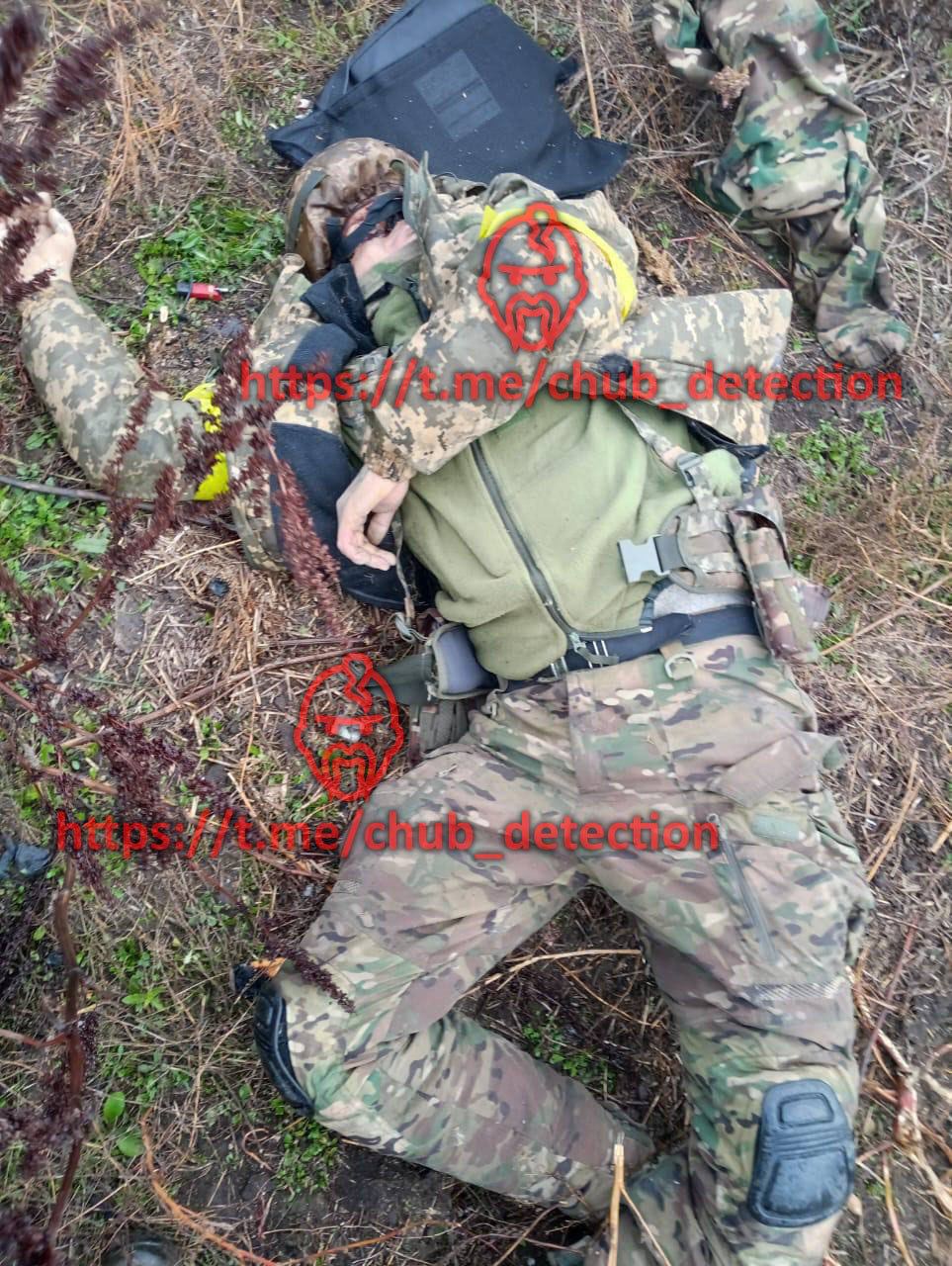 26594-83d5e3e80cdf.jpg