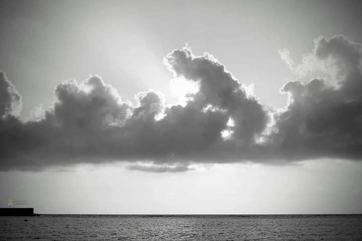 261587-479a7acd95f3.jpg