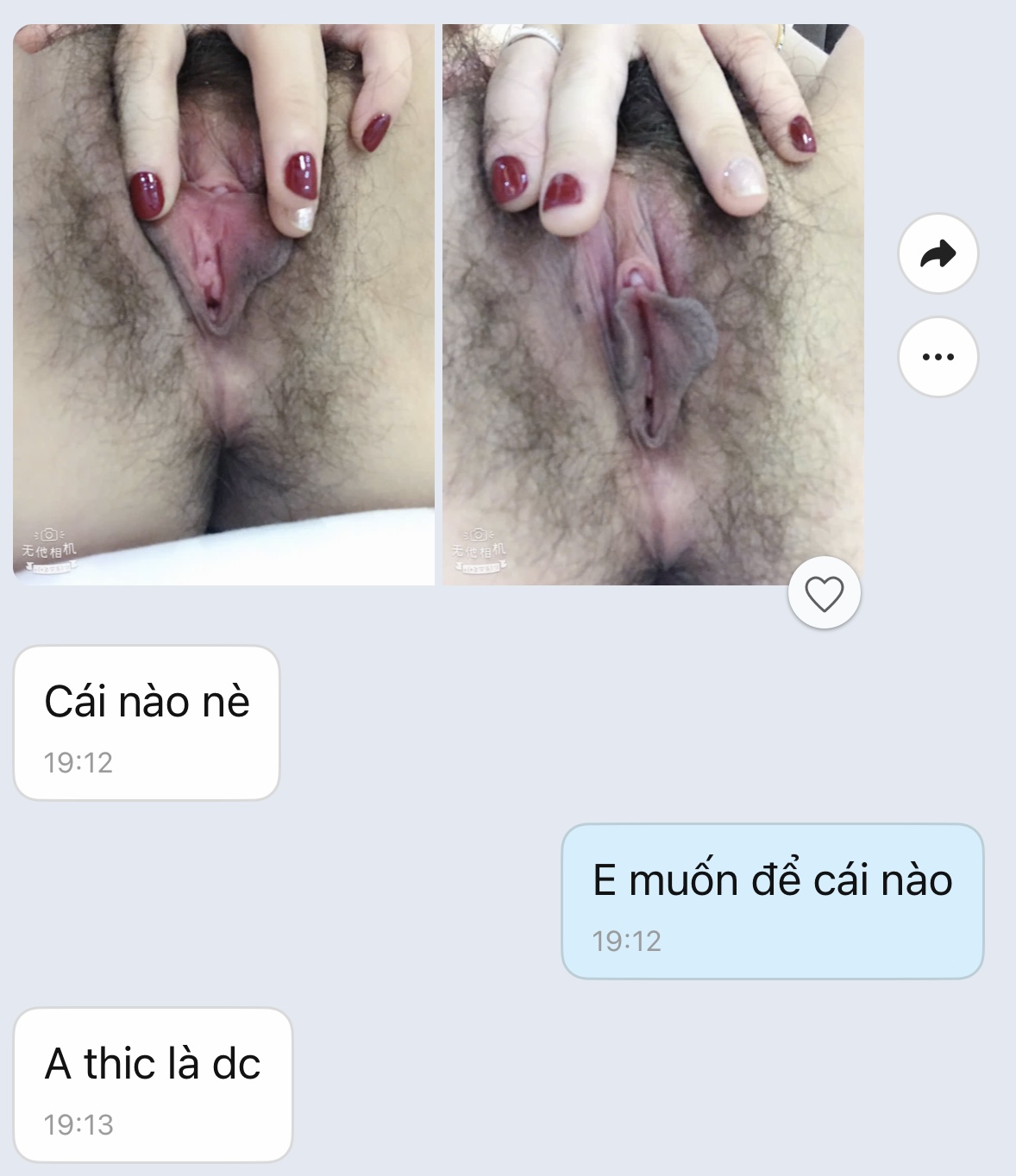 263267-f7043b0e00cf.jpeg