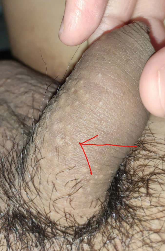 264898-9fe2c6d09c23.jpg