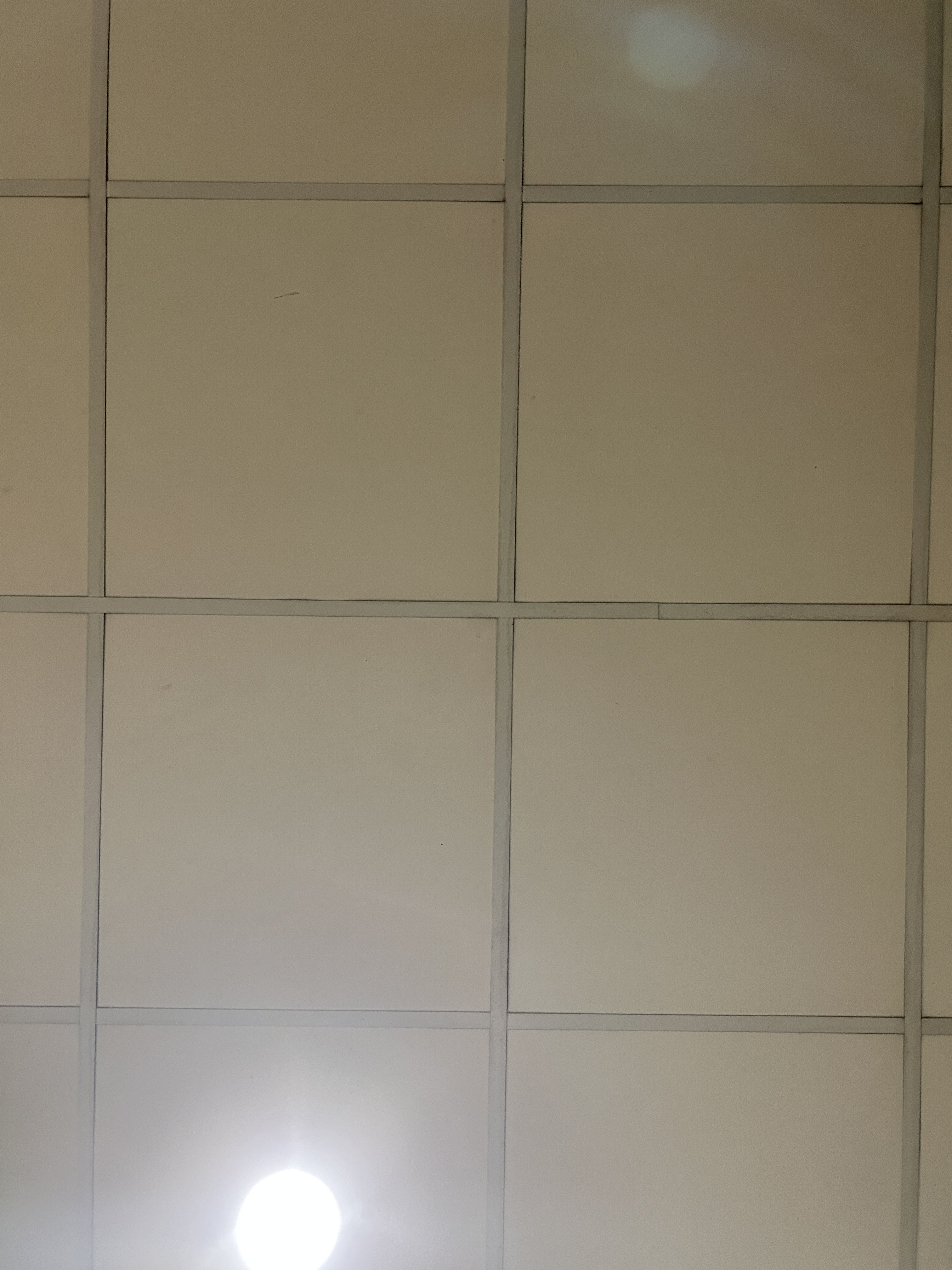 265305-50c337cf6244.jpeg