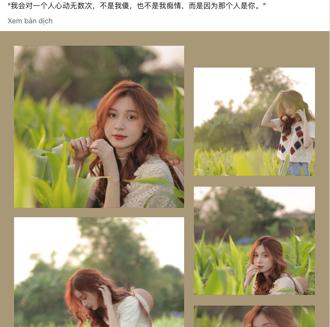 267924-0ccd6c0e65ec.png