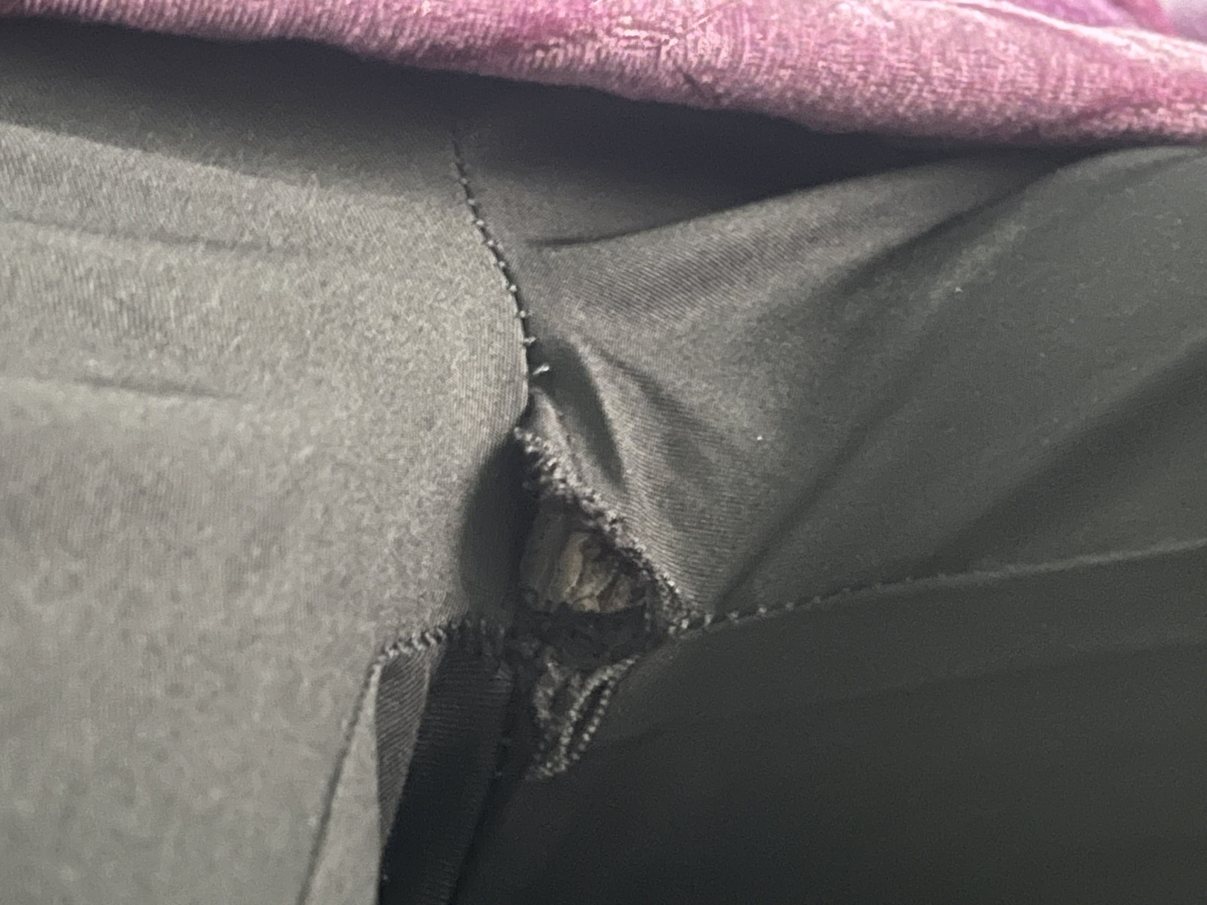 270070-877a5937132c.jpeg