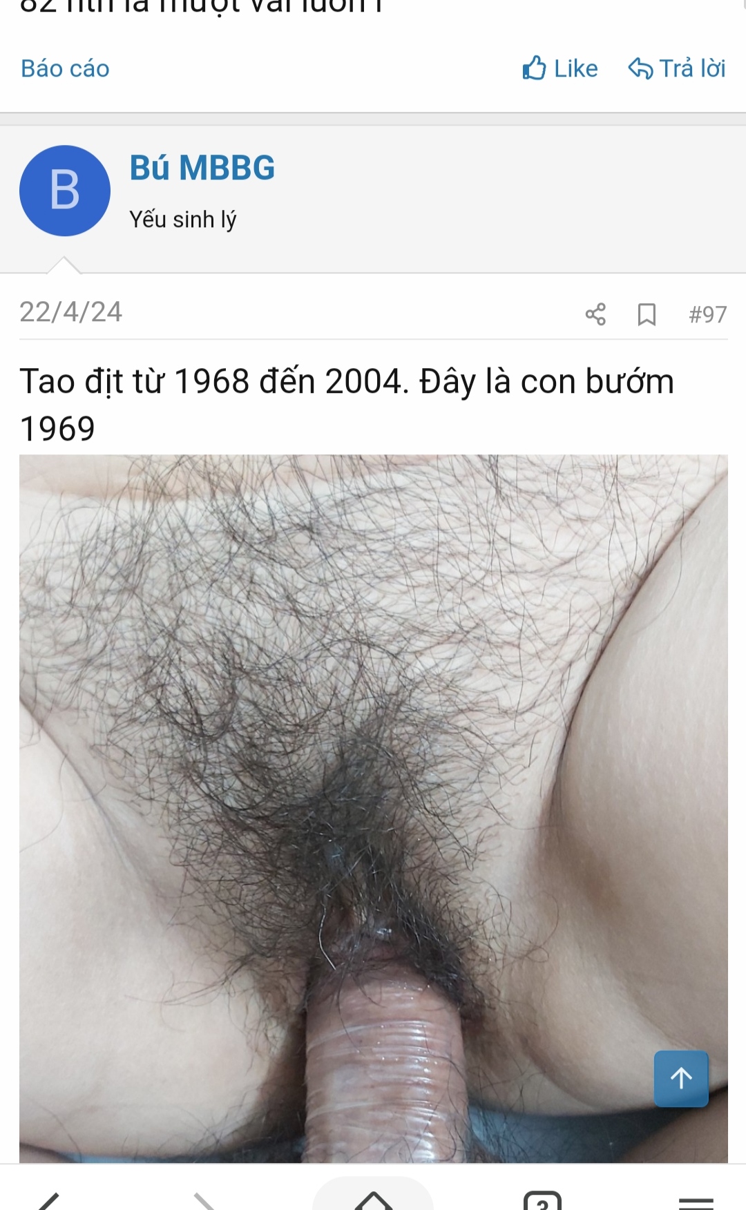 272055-841528943aeb.jpg