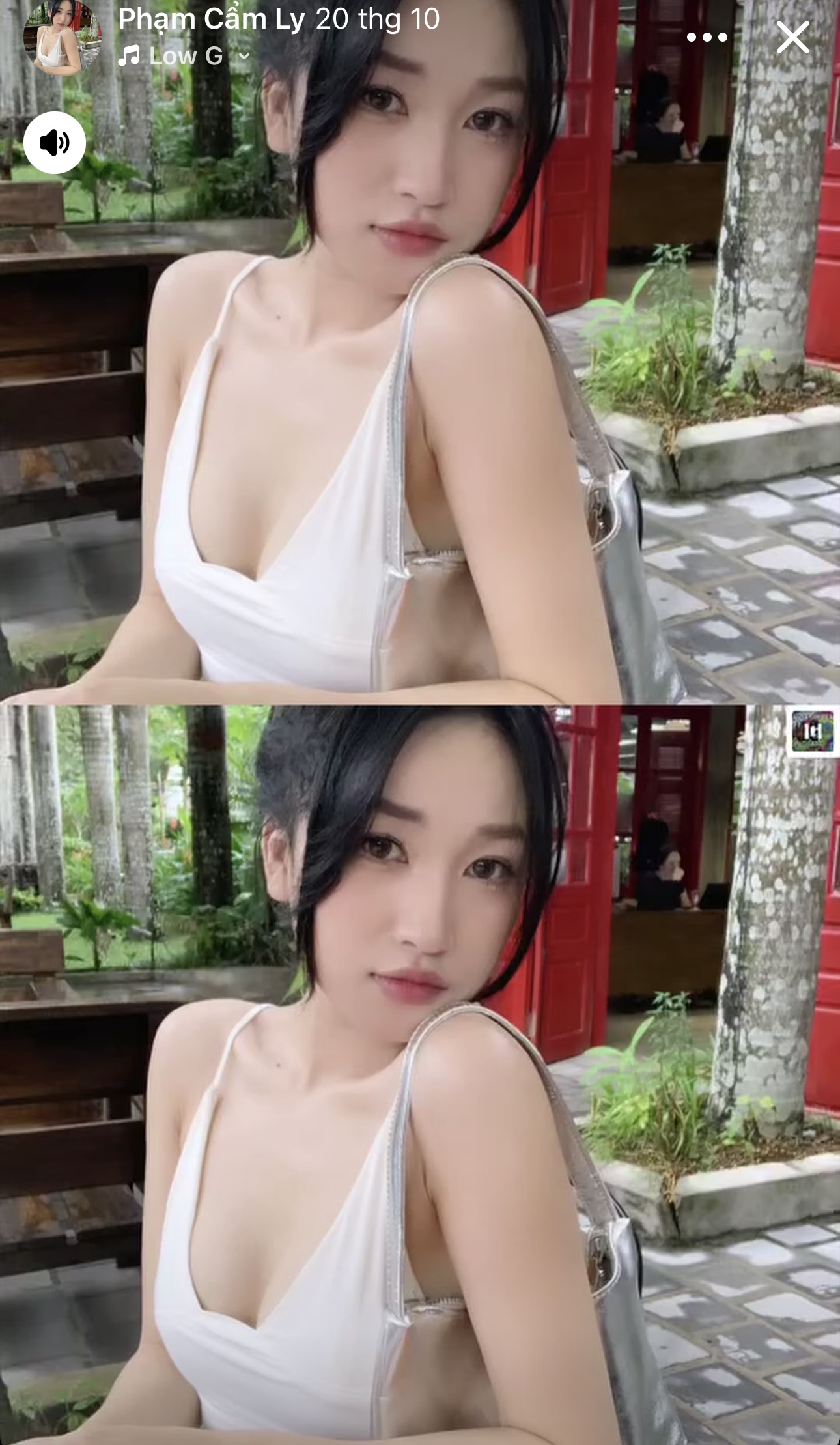 274292-a32f85fb2c34.jpeg
