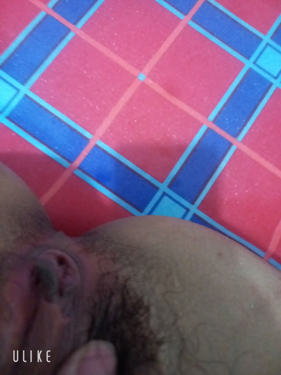 276896-0e525b1abca3.jpg
