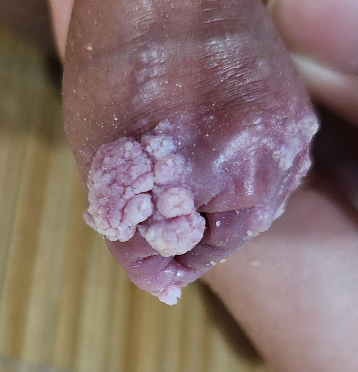 276977-4221eb1d46b9.jpg