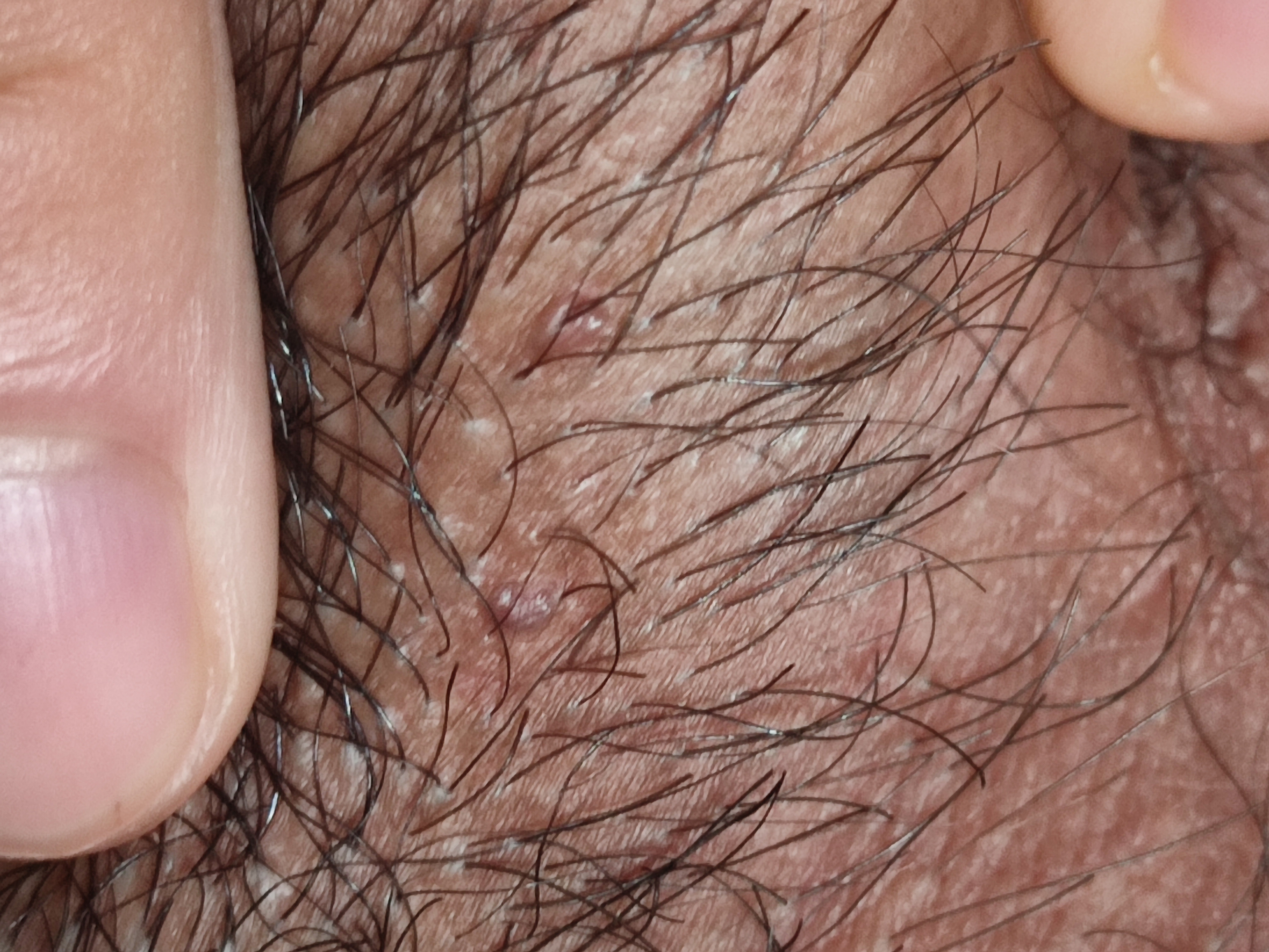 28854-74f0785cd6d4.jpg