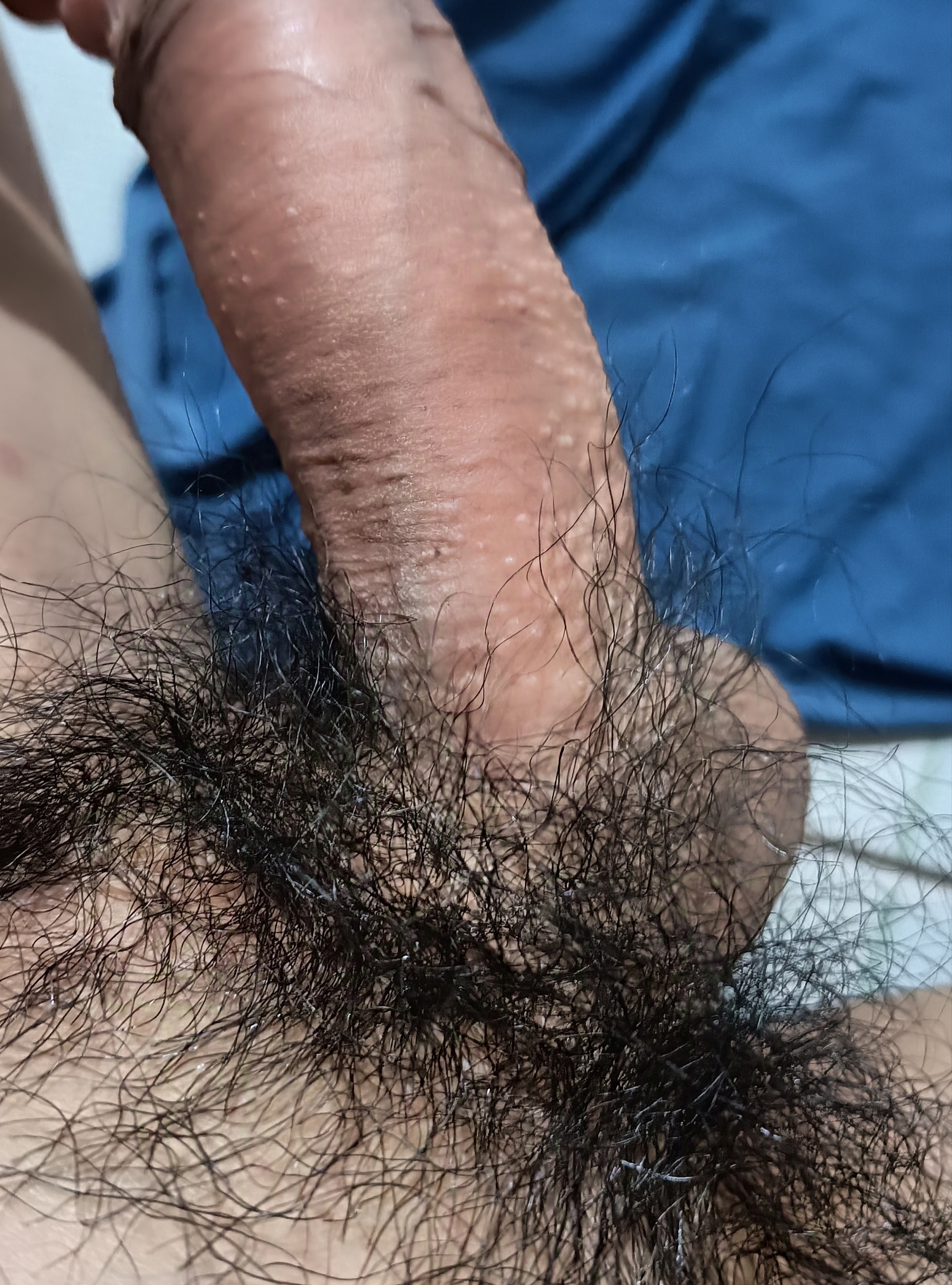 281481-799cf435f62a.jpg
