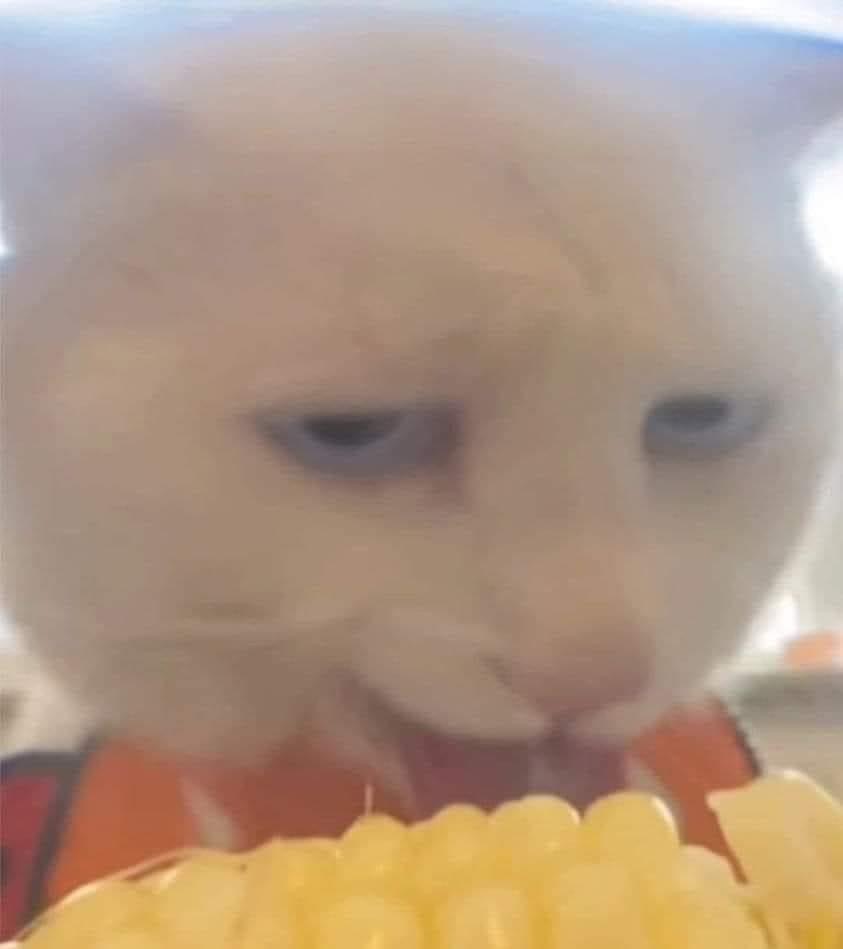 283618-24eb35398d1d.jpeg