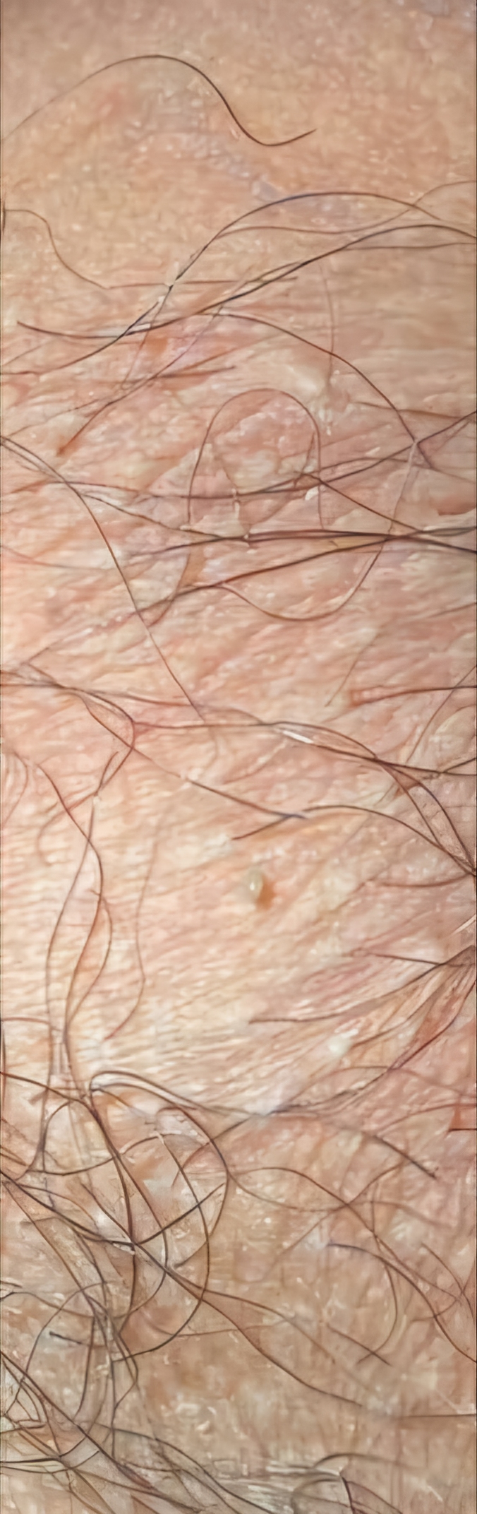 287854-0bf791d43069.jpg