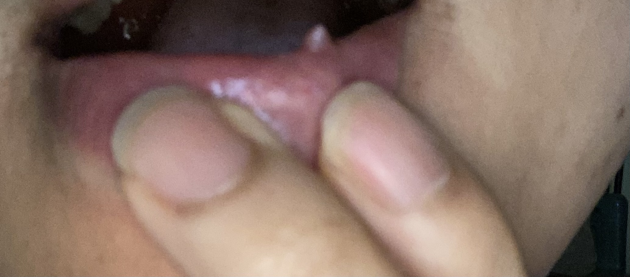 289519-4941f91a9bd5.jpeg