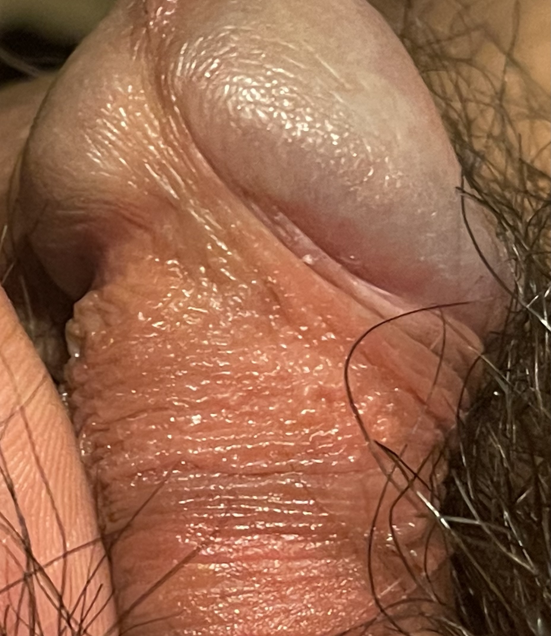 290159-9d91c60a2114.jpeg