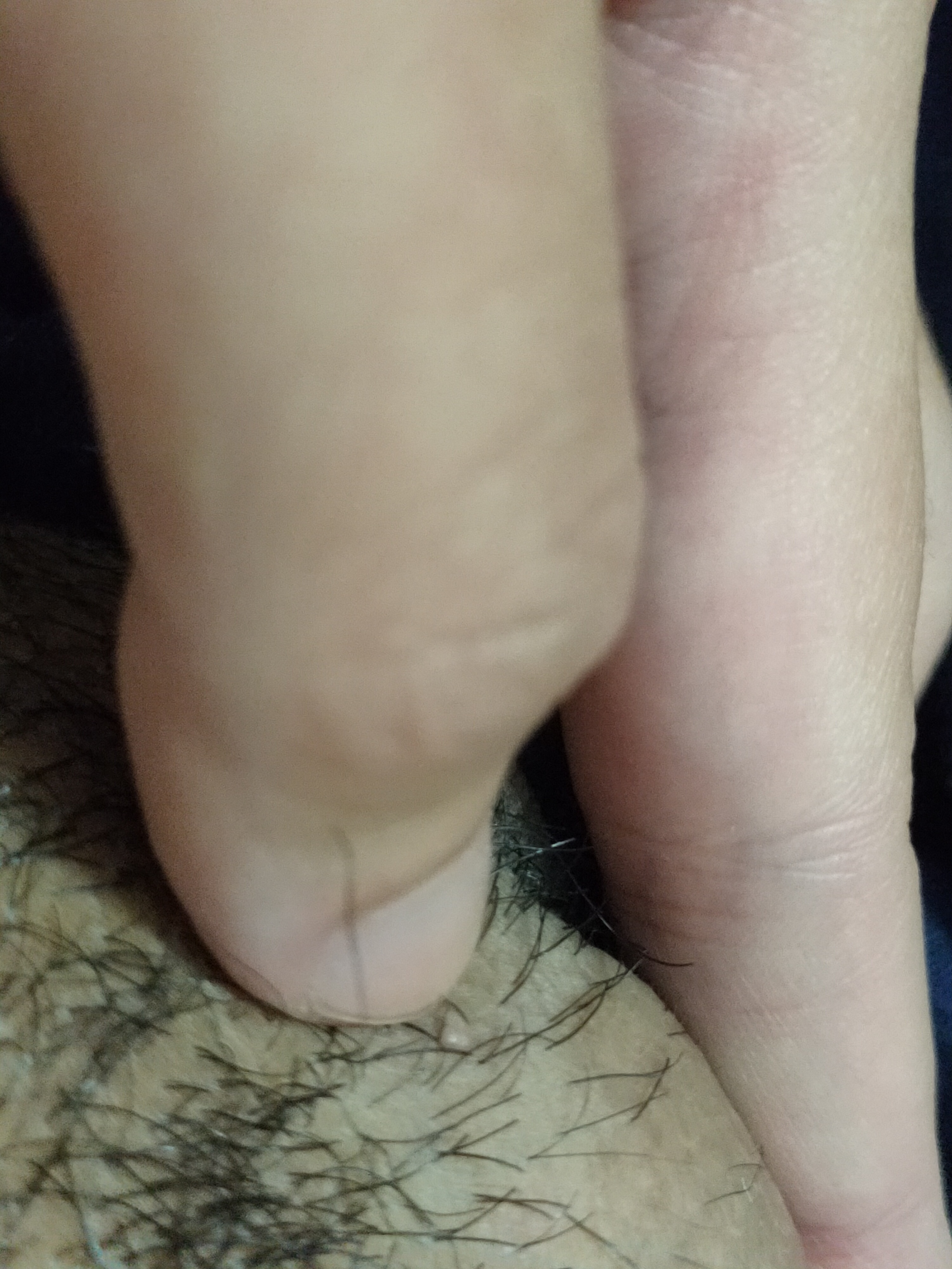 291792-8c7250dd85f8.jpg