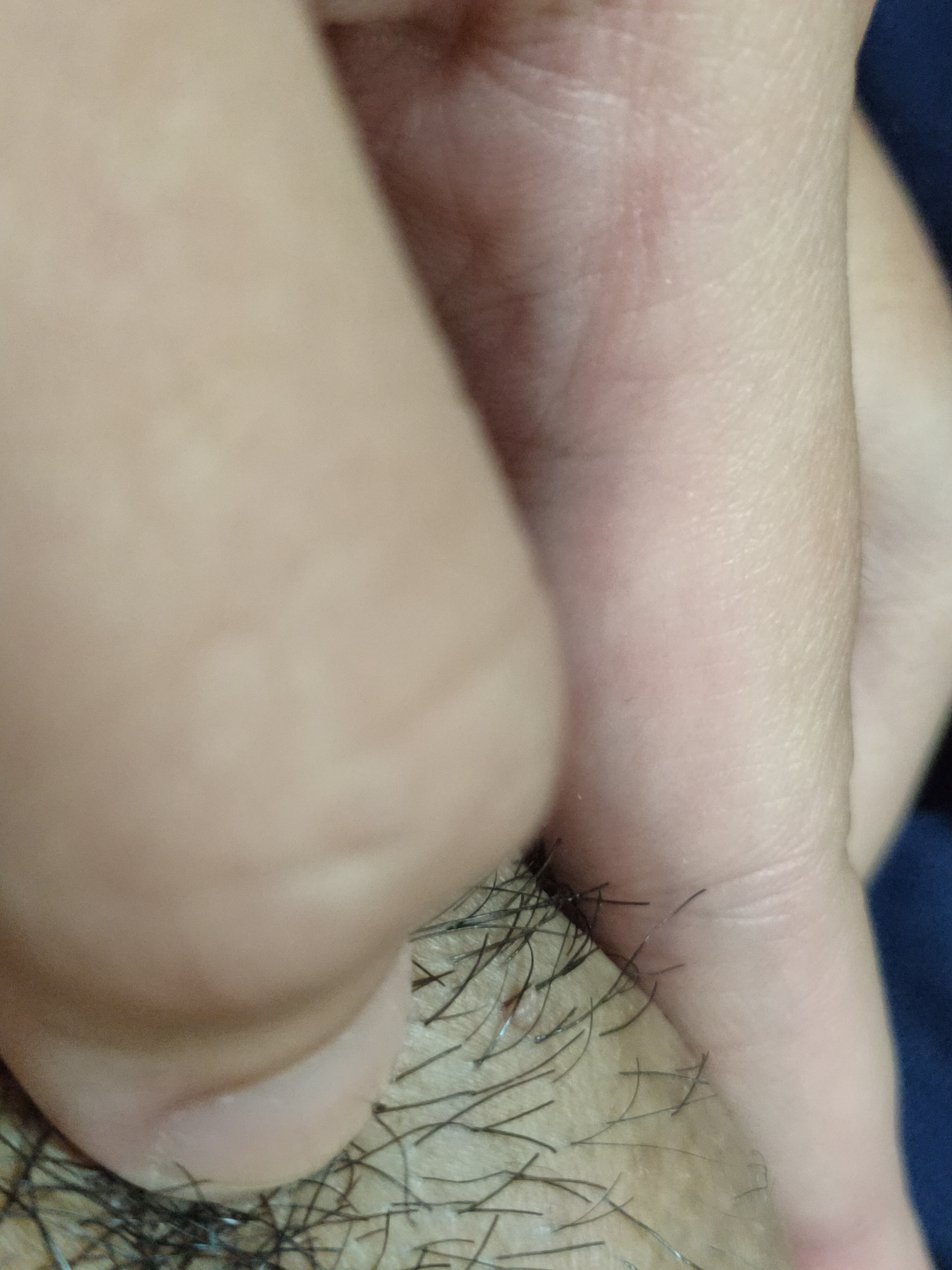 291793-6564d94454ea.jpg