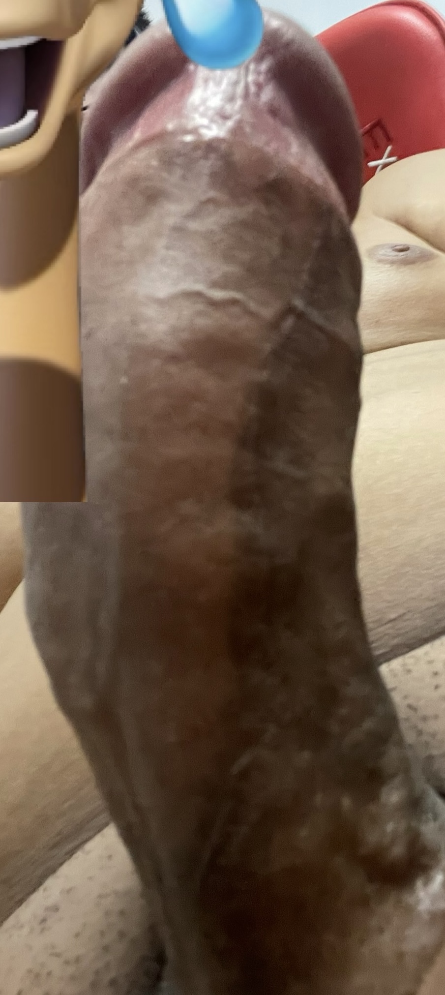 297062-358768b3342e.jpeg