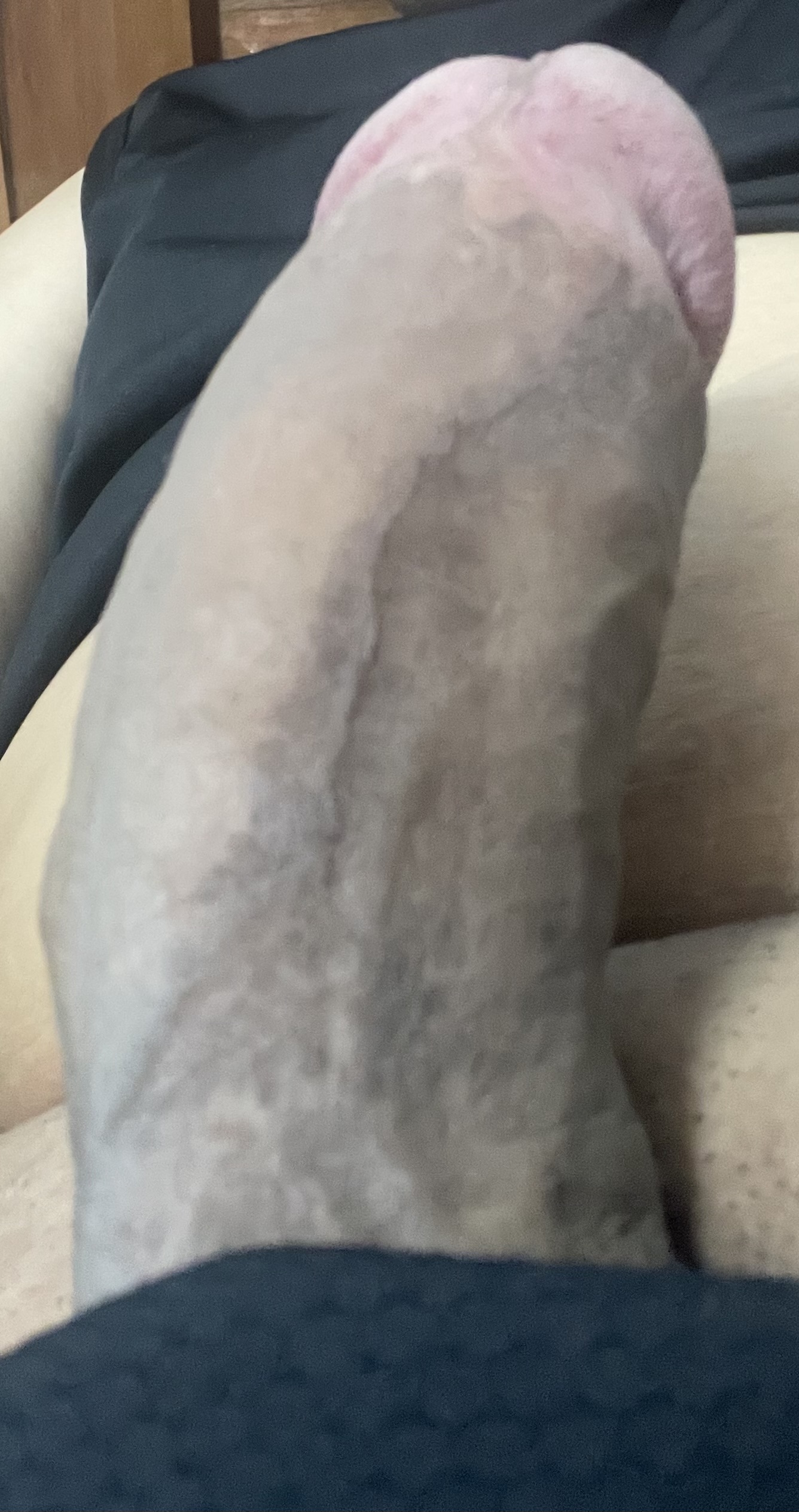 297063-c4c9f3a9653e.jpeg