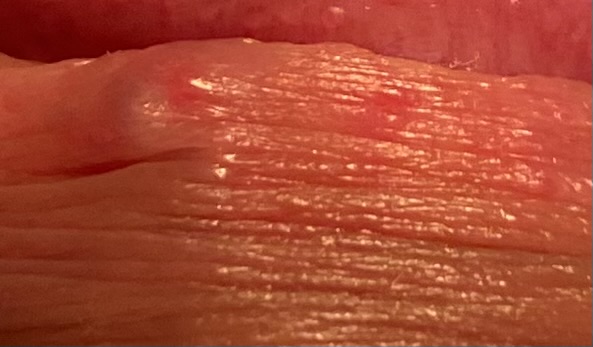 298741-21980d985387.jpeg