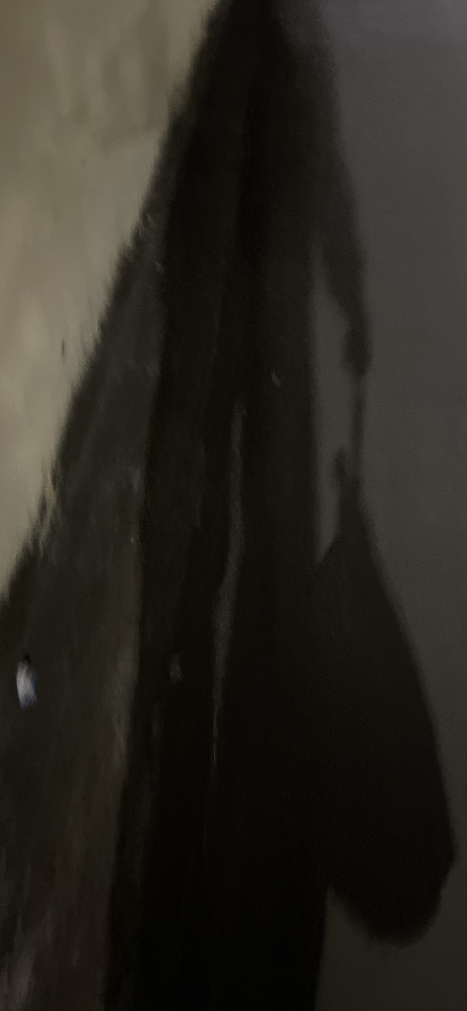 302266-c5d90f0cea6d.jpeg