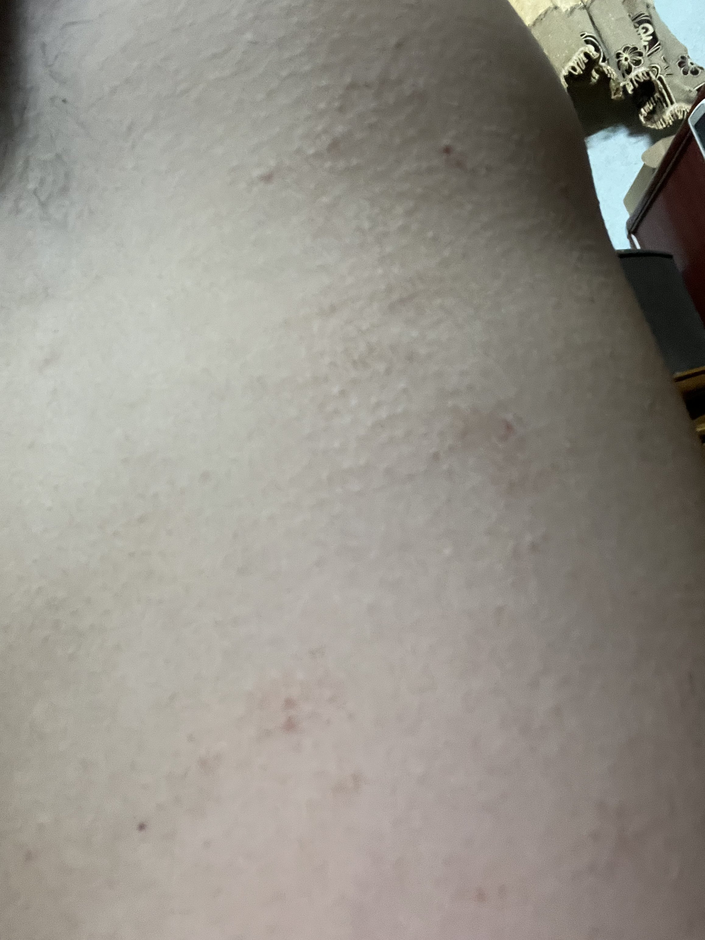 302774-d3a0108b25dd.jpeg