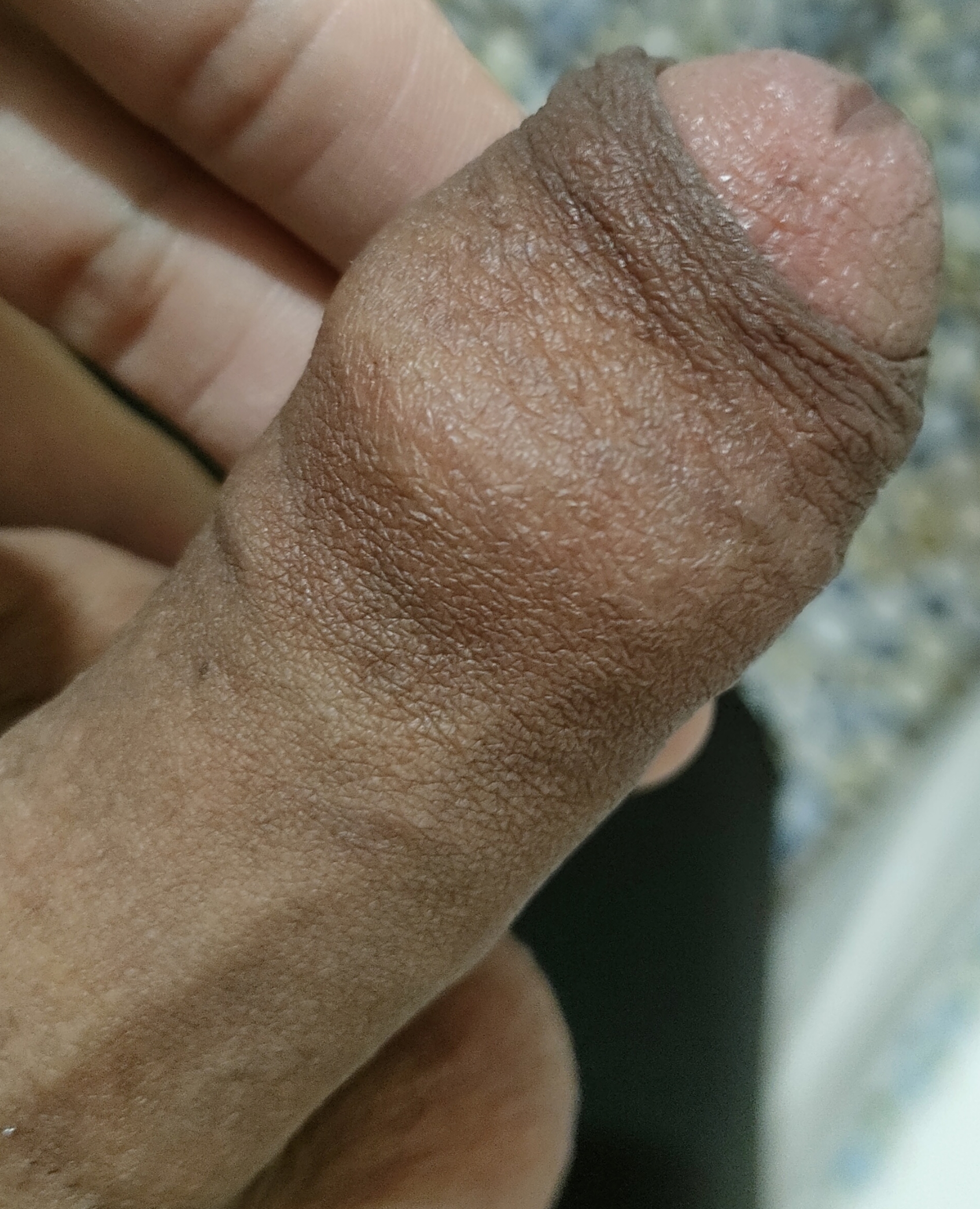 302913-918b70c9cfb4.jpg