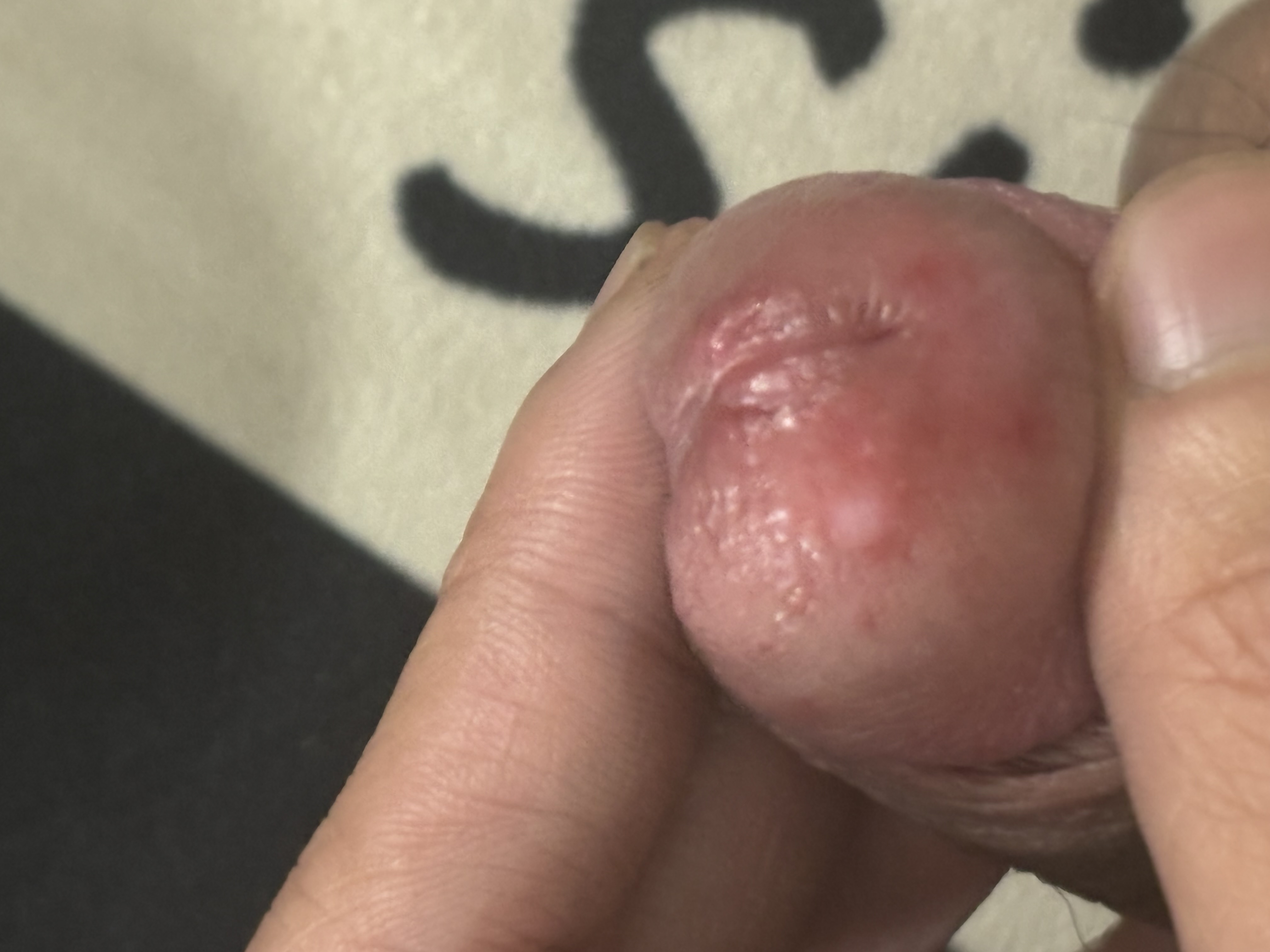 304103-c19bd262709c.jpeg