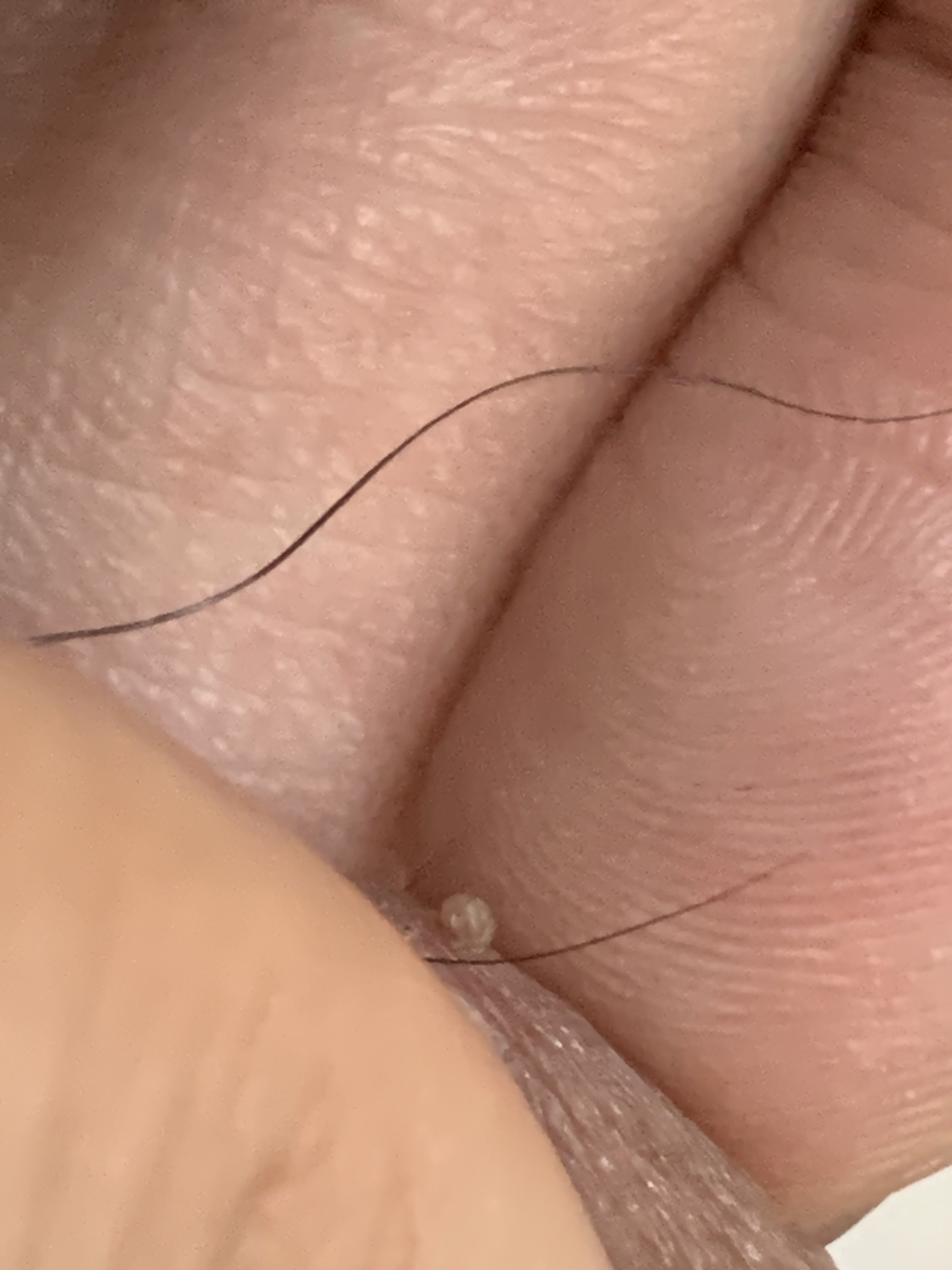 305808-984a4c111638.jpeg