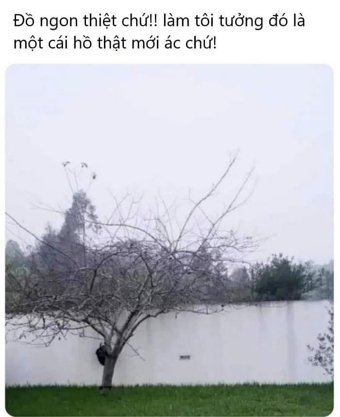 307021-a2cb2e518ac6.jpeg