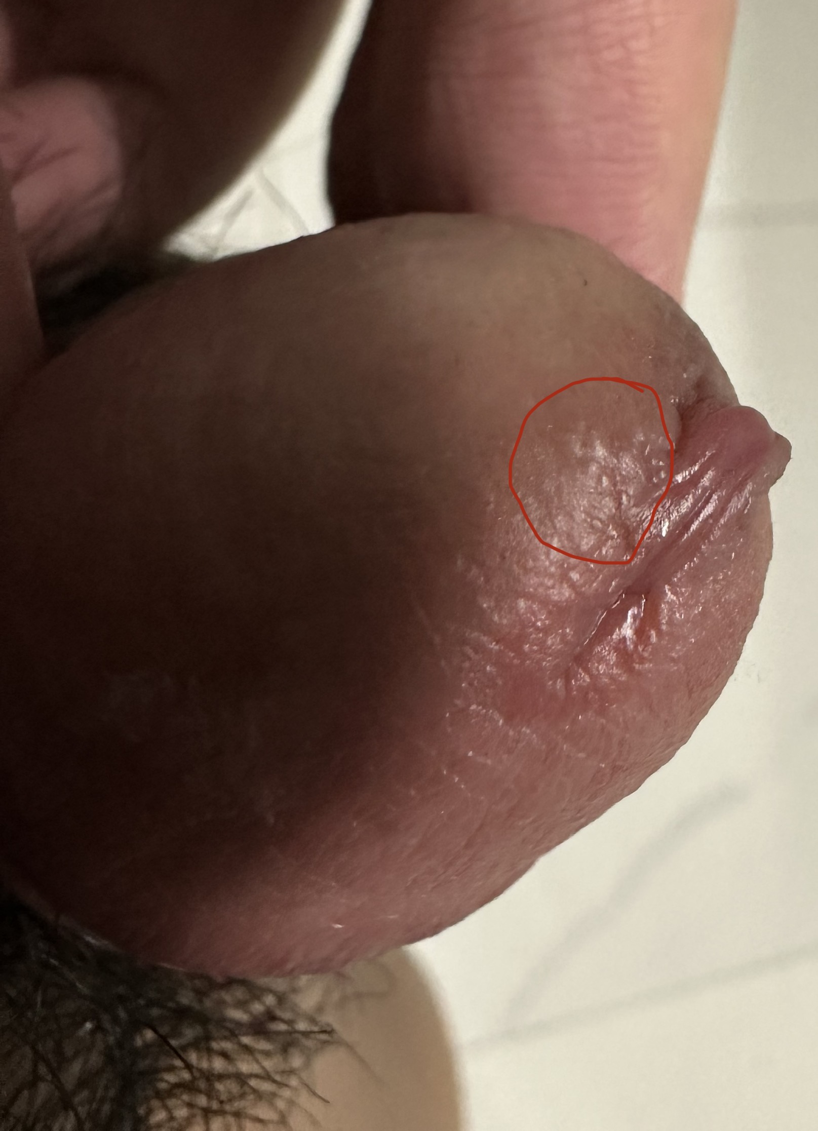 310962-dcb79e55306e.jpeg