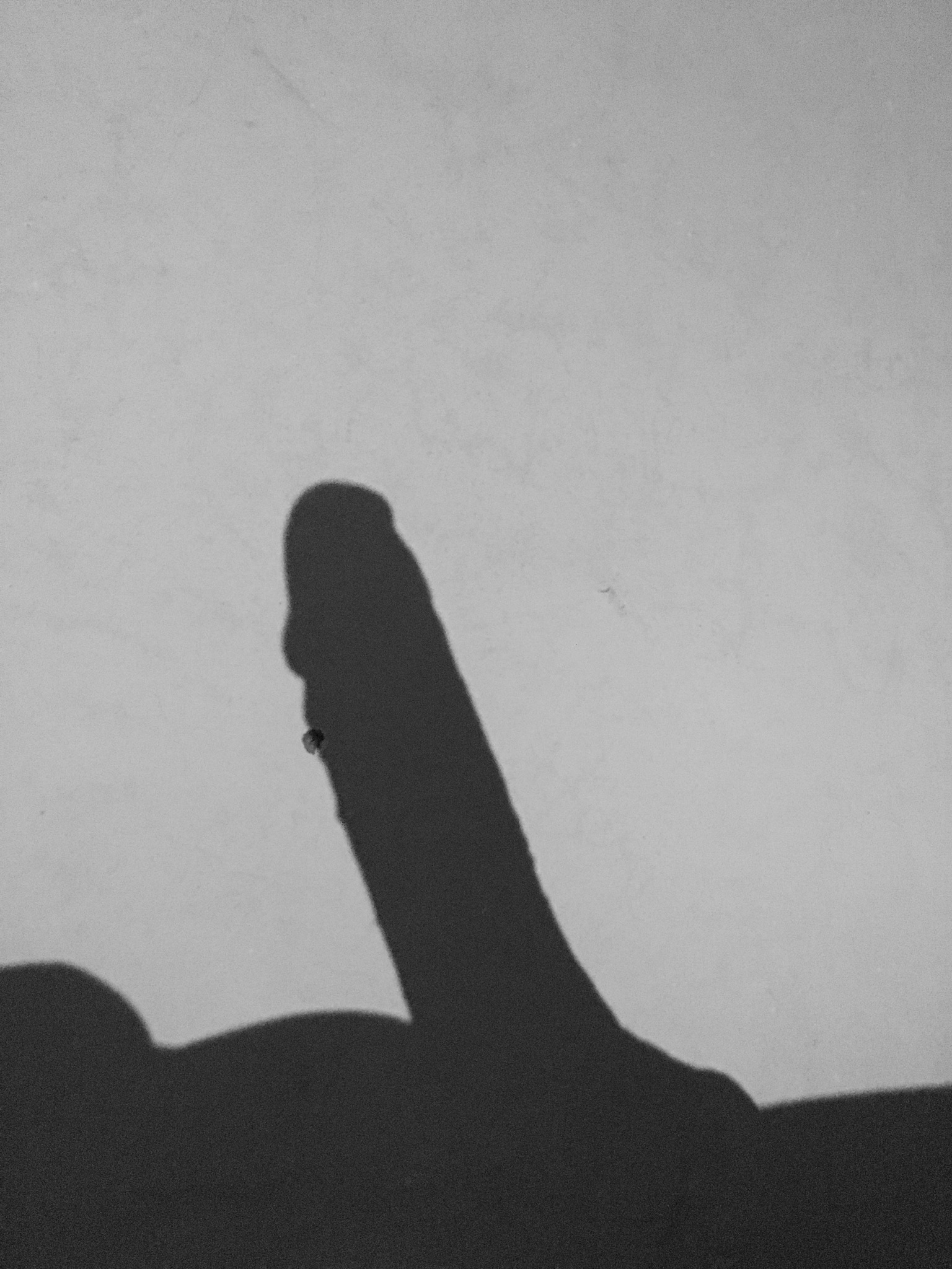 312131-36b029059a48.jpeg