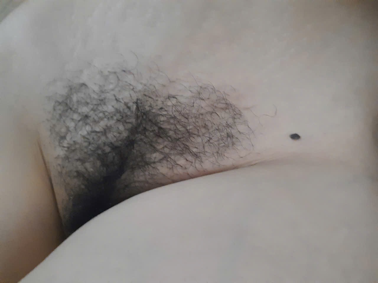 316077-f64ac1ef5d31.jpeg