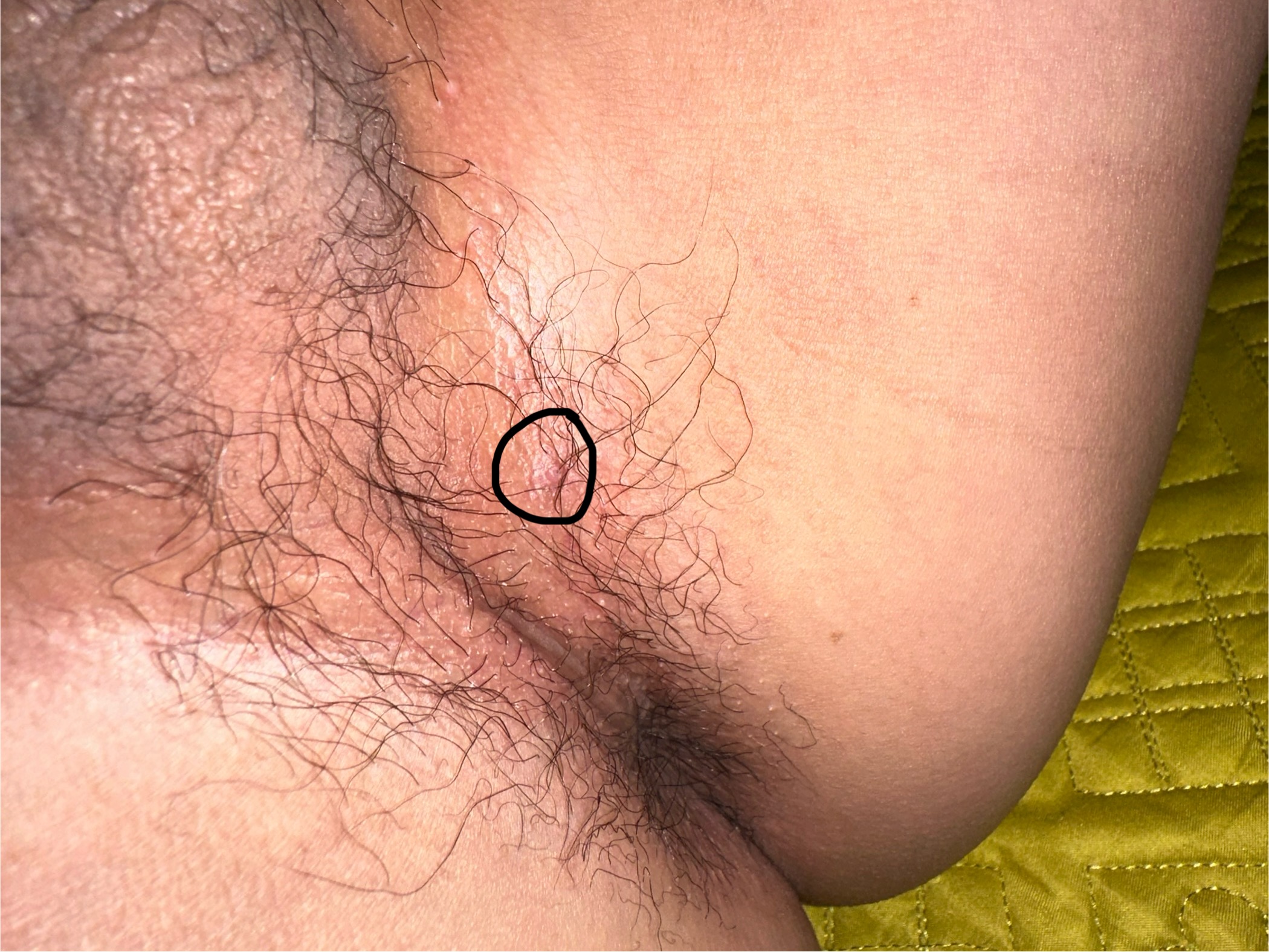 316400-61c98125df93.jpeg