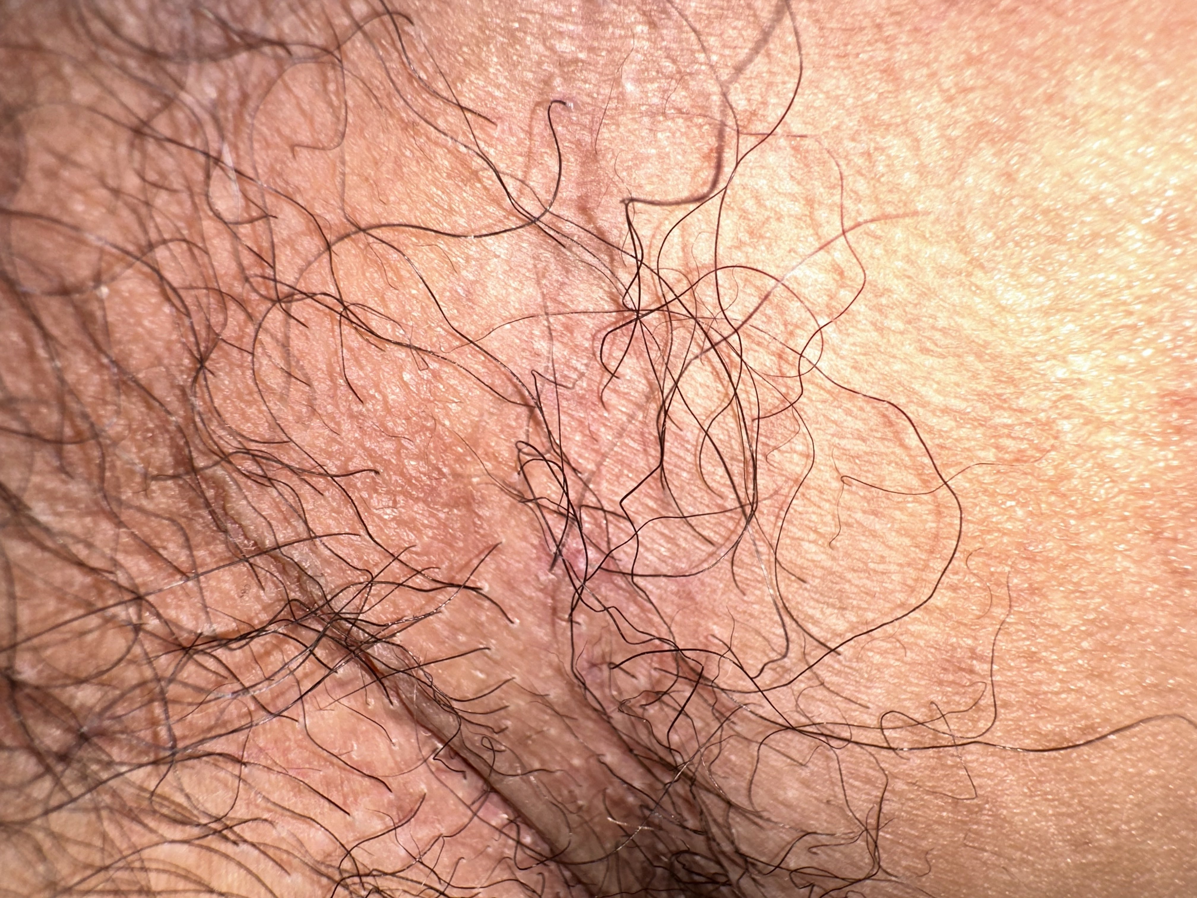 316406-584955849660.jpeg
