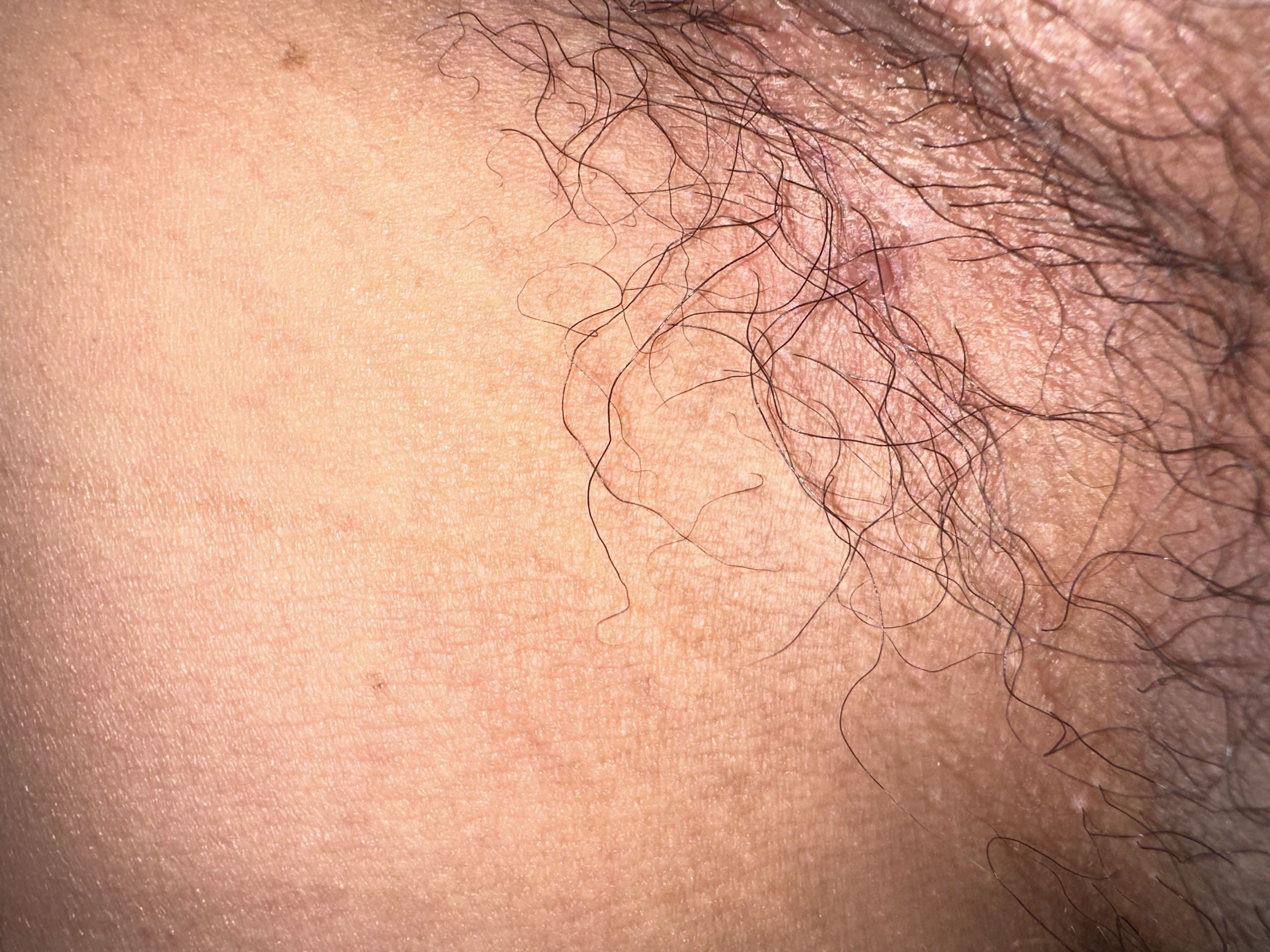 316408-6beed3f49d30.jpeg