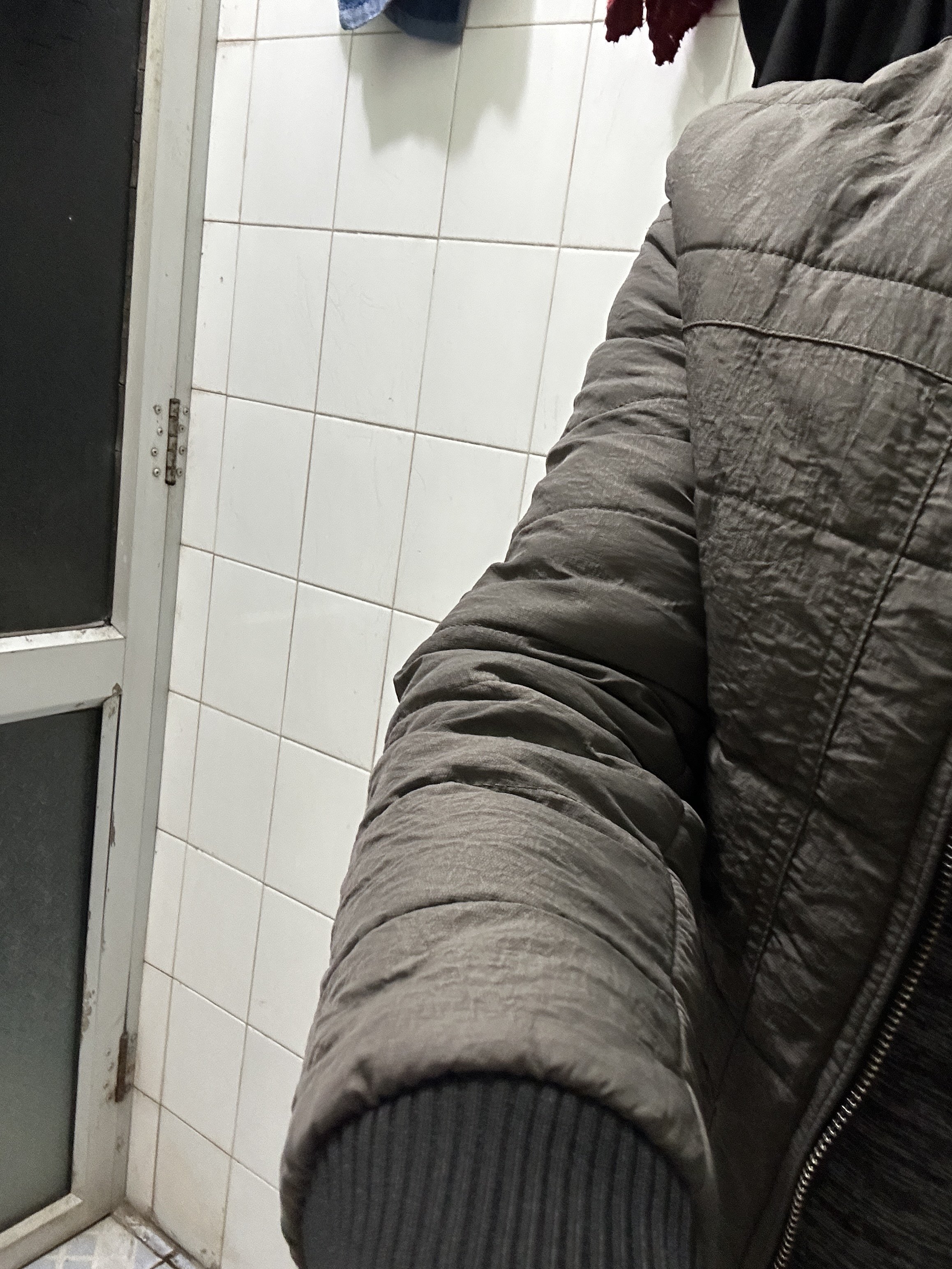 319969-17598d762d87.jpeg