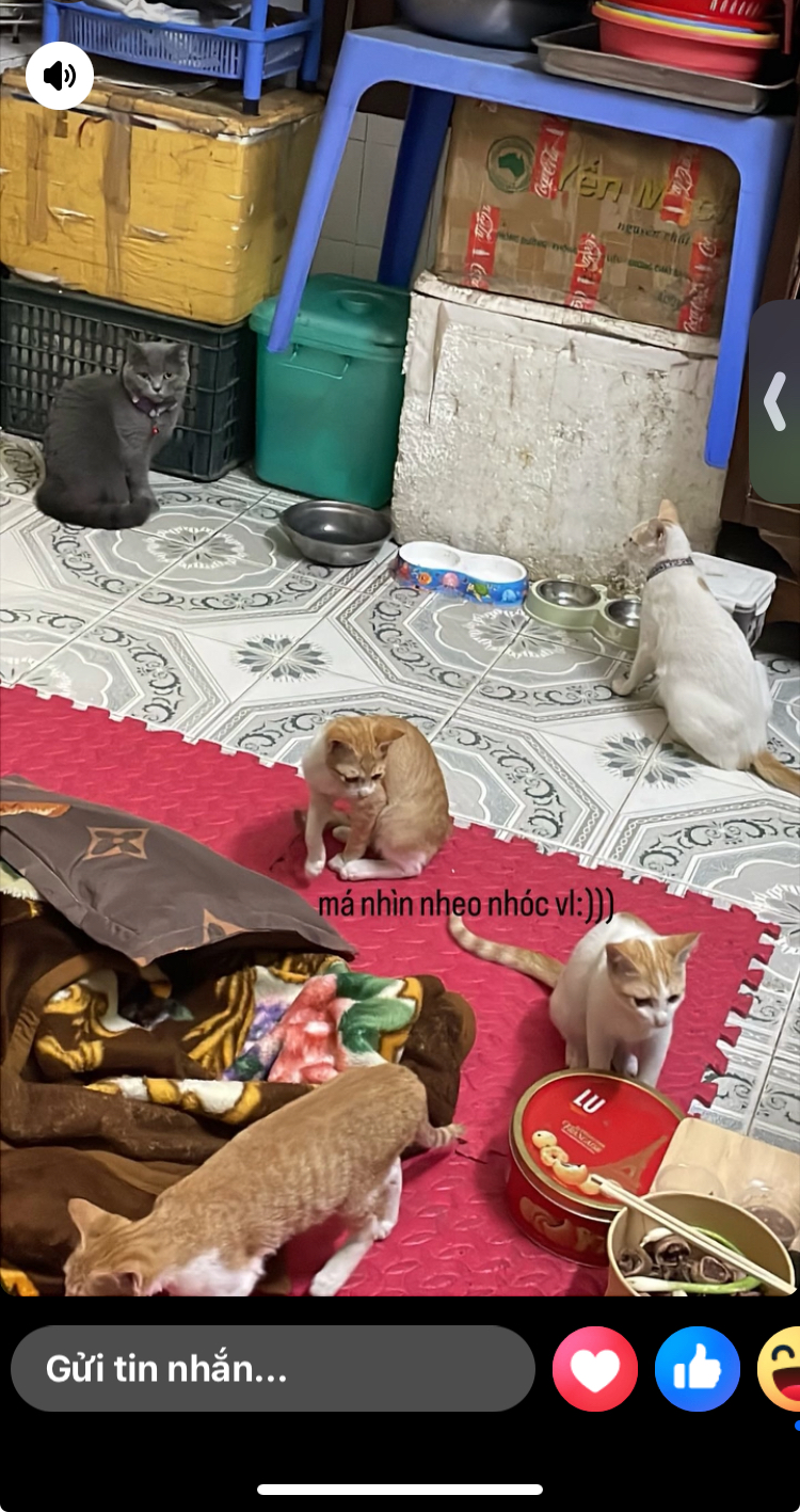 322743-c513cf1a4822.jpeg