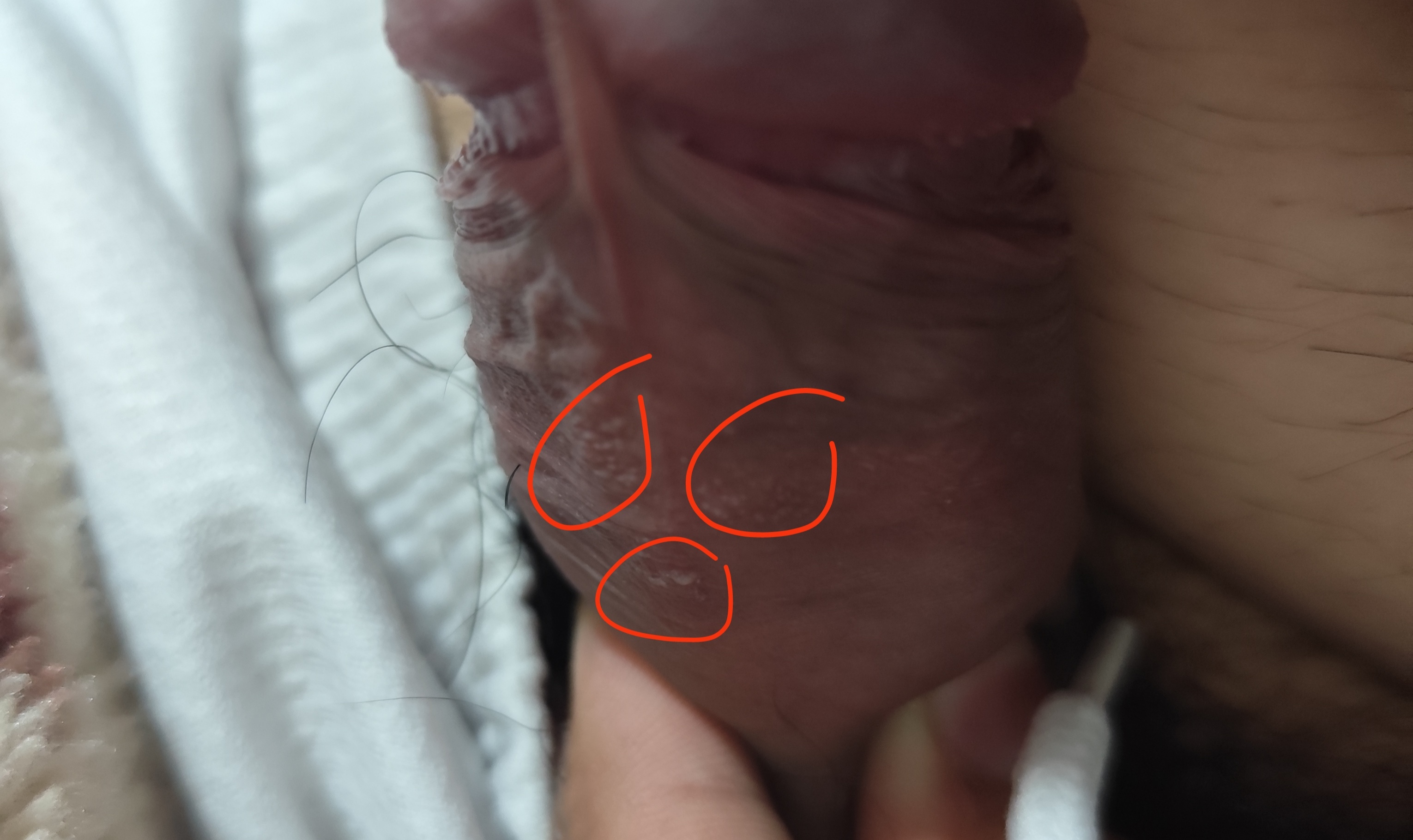 324360-691b64c85059.jpg