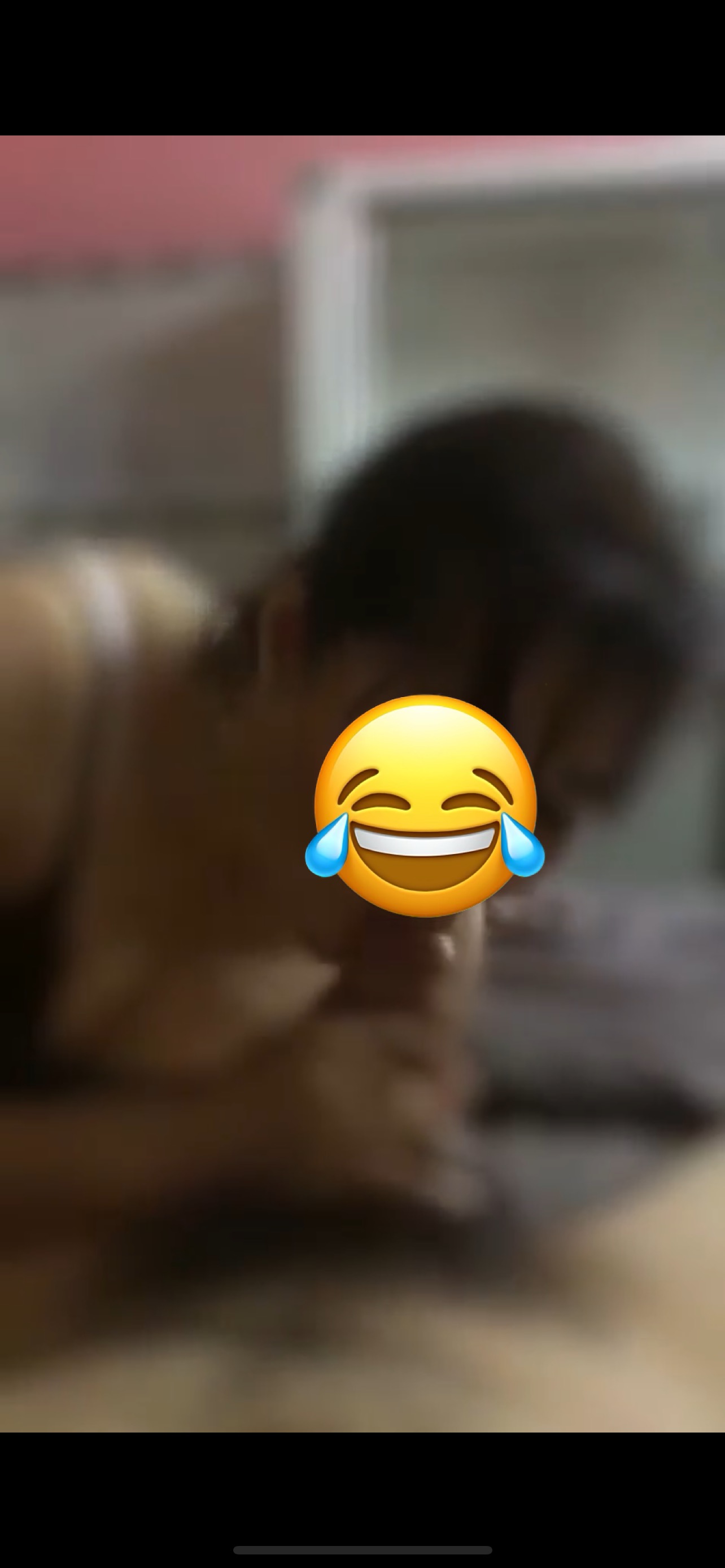327311-1c0b1246a989.jpeg
