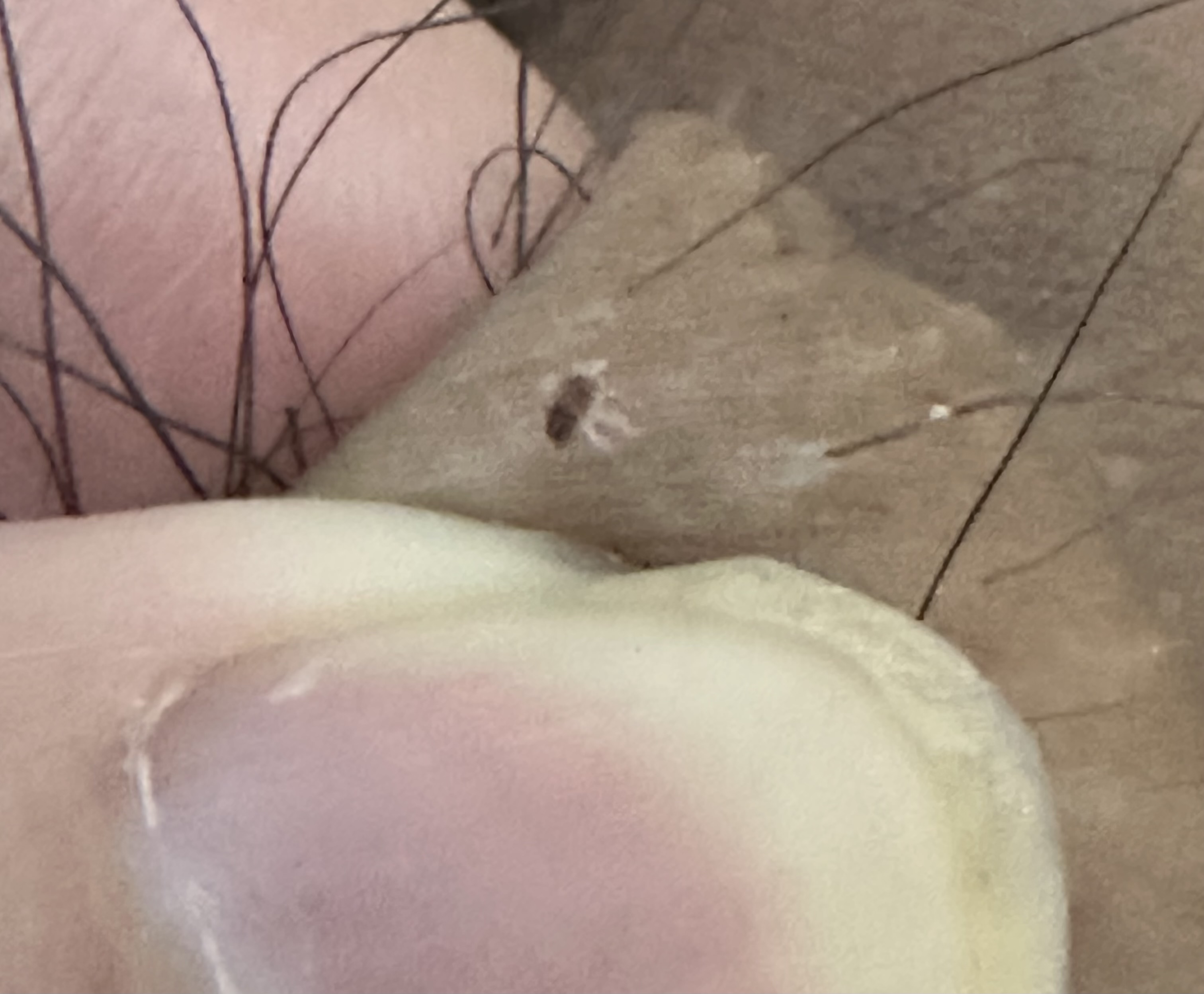 327906-93f78992d560.jpeg