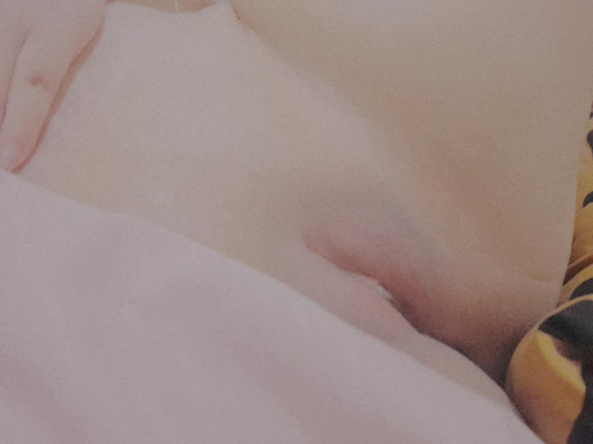330810-f97e7202df09.jpeg