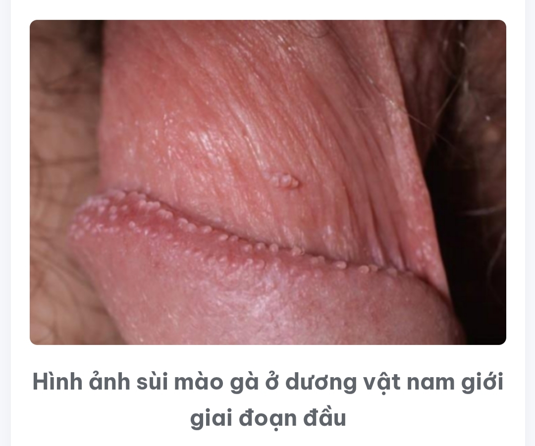 330911-897661dbc580.jpg